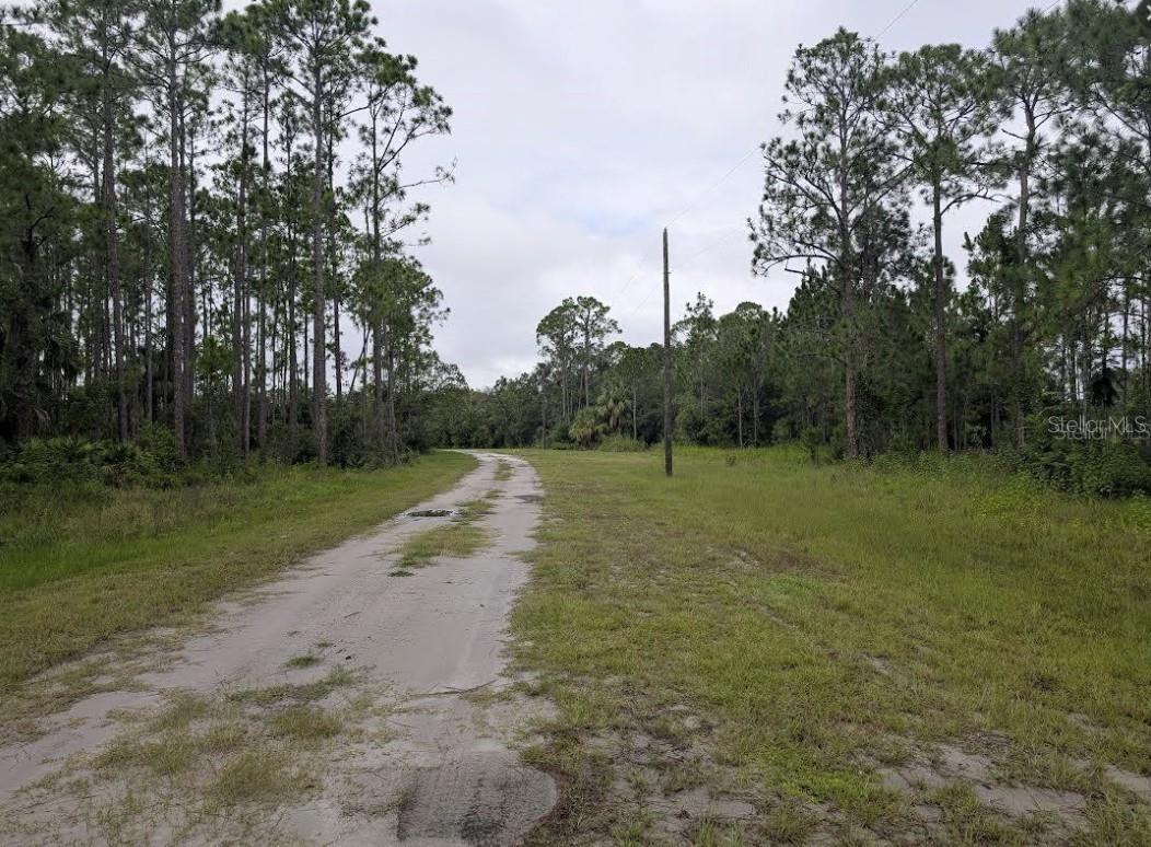 INDIAN LAKE ESTATES - Land