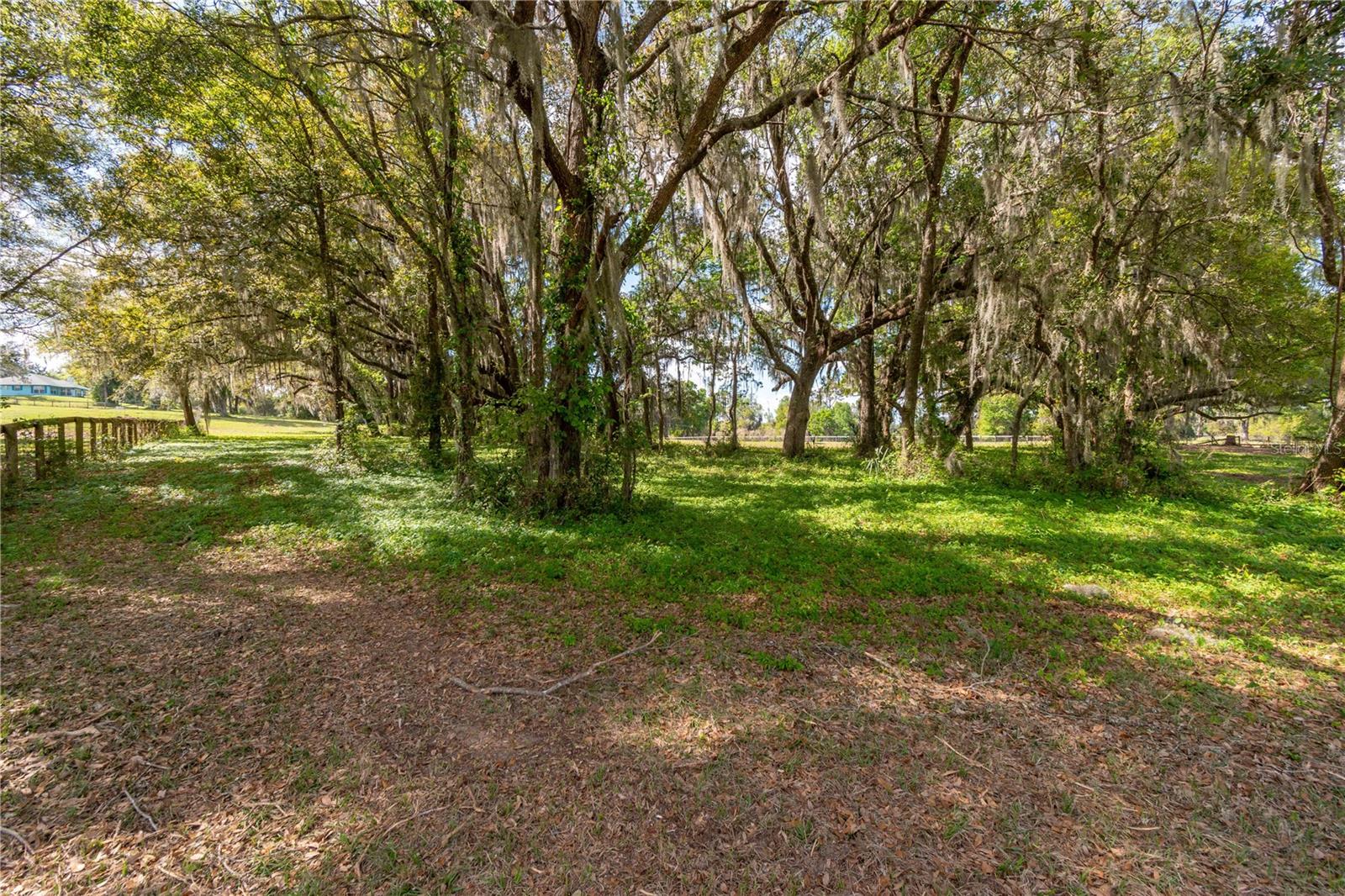 WHIP-POOR-WILL PLANTATION - Land