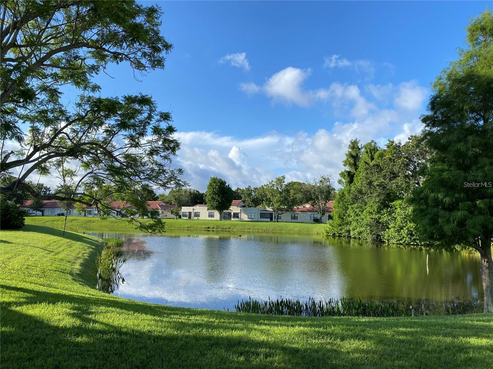 Phenomenal "GORMAY"...simply stunning with a spectacular water view! This pristine 2BR/2BA/2CG open concept home showcases "Pride of Ownership" inside & out…this home won’t disappoint!  Home has been totally renovated from the studs out (2005) in addition to a total interior makeover (2023).  Interior makeover includes: neutral silver décor, wainscoting, luxury vinyl flooring/berber carpeting, updated blinds, ceiling fans, recessed lighting/light fixtures as well as two totally renovated bathrooms and bonus room. Other updates include “NO popcorn ceilings” & 6 panel interior doors.  Living/Dining/Florida & Bonus rooms all surround the "Heart of the Home"... the kitchen. This gorgeous, reconfigured kitchen features numerous updates: cobalt blue solid surface countertops to offset the white 42" Kraftmaid cabinets (breakfast bar, soft close drawers, pull out shelves, pantry, expanded cabinetry for extra storage/counterspace) accented with exquisite stain-glass decorative doors, white appliances (GE refrigerator w/in-door ice & water dispenser, Maytag dishwasher, Maytag glass cooktop range w/double oven, GE microwave hood (2020)), disposal & a raised ceiling w/recessed lighting & 2 ceiling fans. Maytag Commercial Technology washer/dryer is located in kitchen pantry area. In addition to interior makeover, Bonus room renovations include raised floor, pocket doors for privacy, new ductwork (2021) and a stunning backyard view to enjoy spectacular Florida sunrises. Florida room shares the 2023 updates, offers a wall of windows, ceiling fan & a pass thru window to kitchen. Dining room, centrally located off kitchen between the Living & Florida room, has a stunning hanging light accented by recessed lighting. Both spacious bedrooms feature interior makeover updates, walk-in California style closets, ceiling fans w/lights & large windows for great natural light. Updated Primary ensuite and guest baths include gorgeous walk-in tiled showers with glass shower doors/safety grab bars/new hardware, marble countertops w/sinks, white vanities, commodes, vents, luxury vinyl floors, mirrors & lighting.  Guest bath offers a linen closet. Exterior features include new paver driveway/porch (2016), gutters/downspouting, double pane windows installed 2005 (tinted in Florida & Bonus rooms), accordion storm shutters (2007), tile roof (2020) & keyless entry. Garage offers: 3 ton Nordyne Frigidaire HVAC with heat pump (2010), compressor updated (2016), State 40 gal water heater (2025), updated Eaton electric panel, pull down attic access, workspace/extra storage, Linear door opener, Clopay reinforced garage door-Precision updated 2019 & exterior side door. Unit 5 welcomes 2 pets! Monthly maintenance fee of $342.59 includes lawn care/irrigation maintenance, exterior painting/power washing, water/sewer/trash, internet/cable in addition to maintaining all community property (clubhouse, pool, roads, sidewalks, lakes)!  Mainlands of Tamarac by the Gulf Unit #5 is very active, 55+ community offering a clubhouse, heated in-ground pool, shuffleboard courts, public golf course & many other activities. A Tropical Paradise located in the "Heart of Tampa Bay" centrally situated between St. Petersburg, Clearwater & Tampa. Additional conveniences include lots of nearby shopping, sporting/cultural venues, excellent medical/emergency care facilities, restaurants, banking, churches as well as easy access to Gulf coast beaches, US-19, I-275 & two airports.