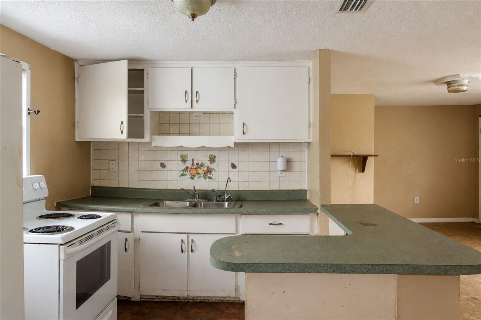 FOUNTAIN YOUTH COMMUNITY - Residential