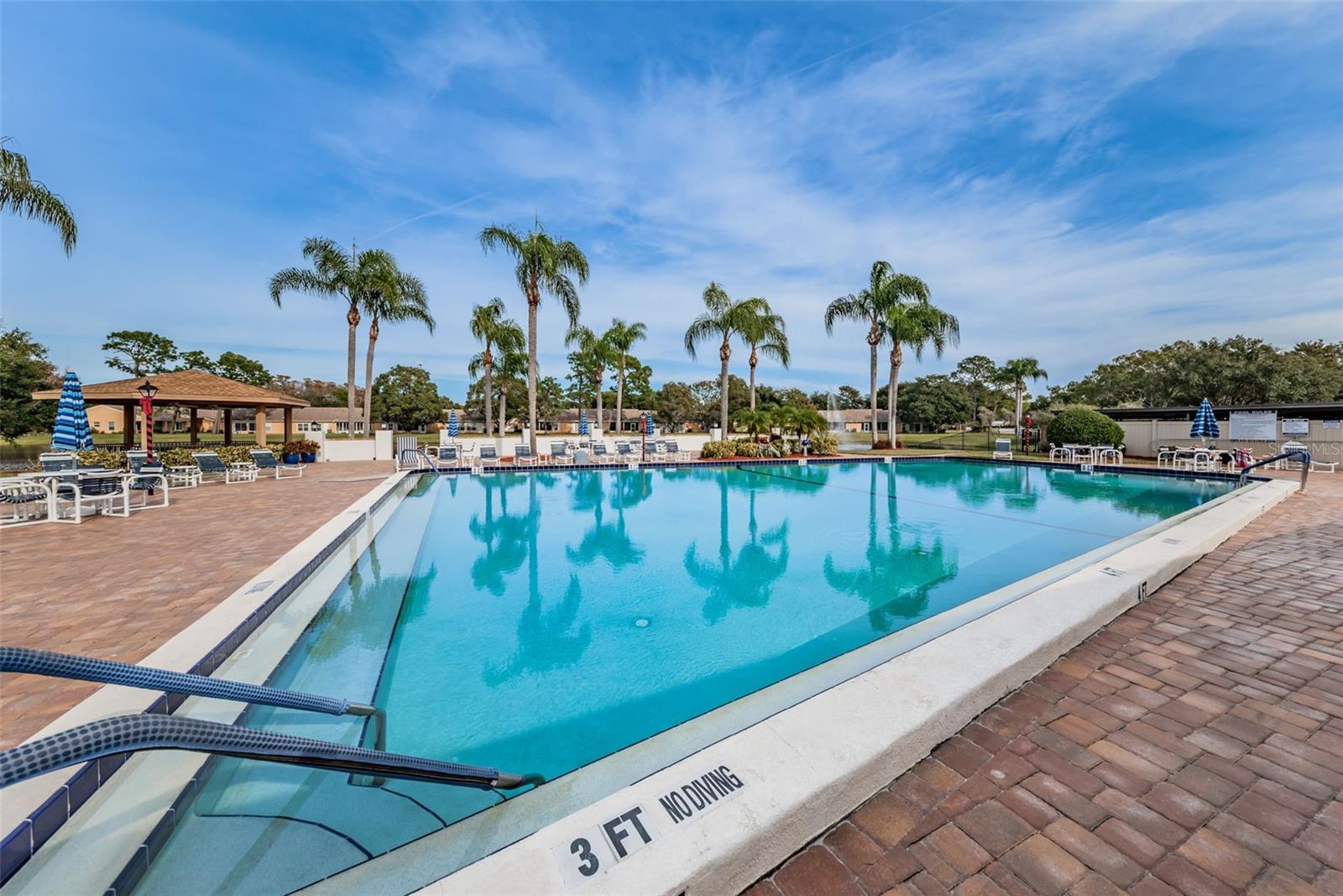 WEDGWOOD VILLAGE CONDO - Residential