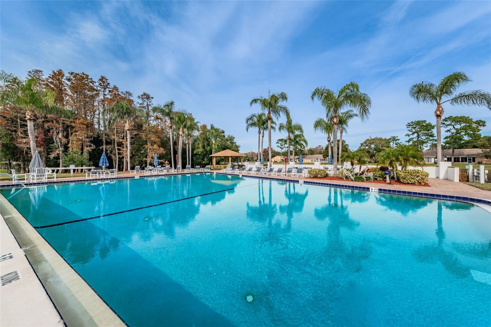 WEDGWOOD VILLAGE CONDO - Residential