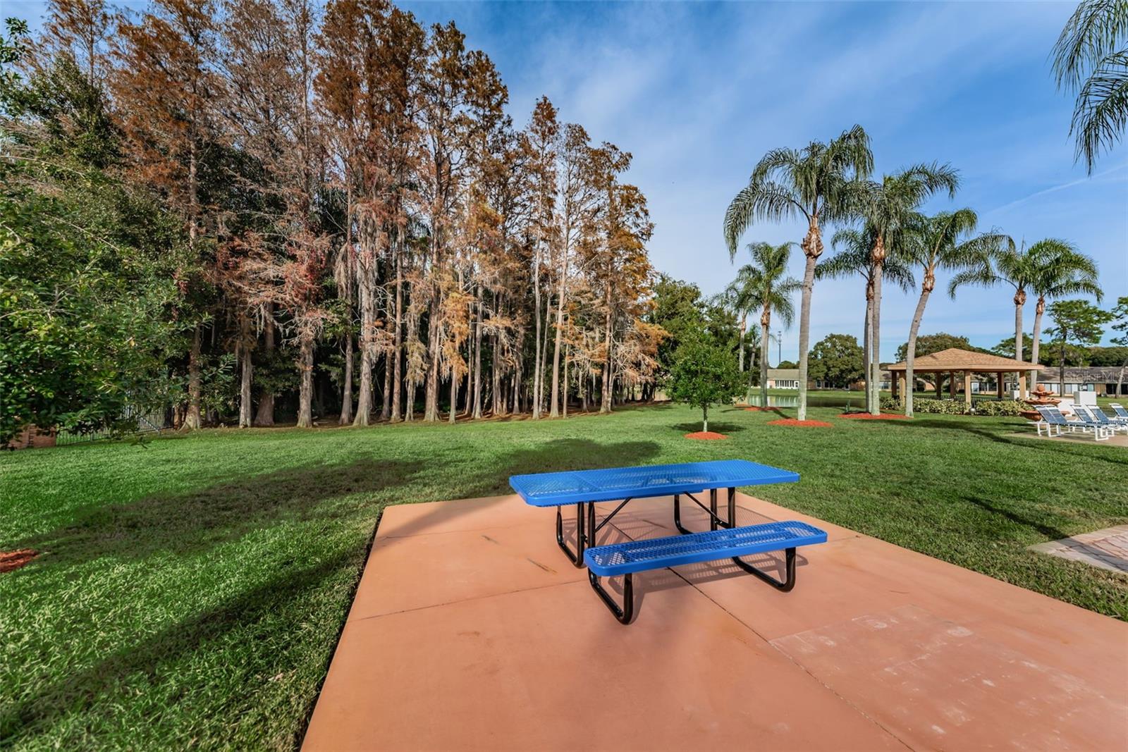 WEDGWOOD VILLAGE CONDO - Residential