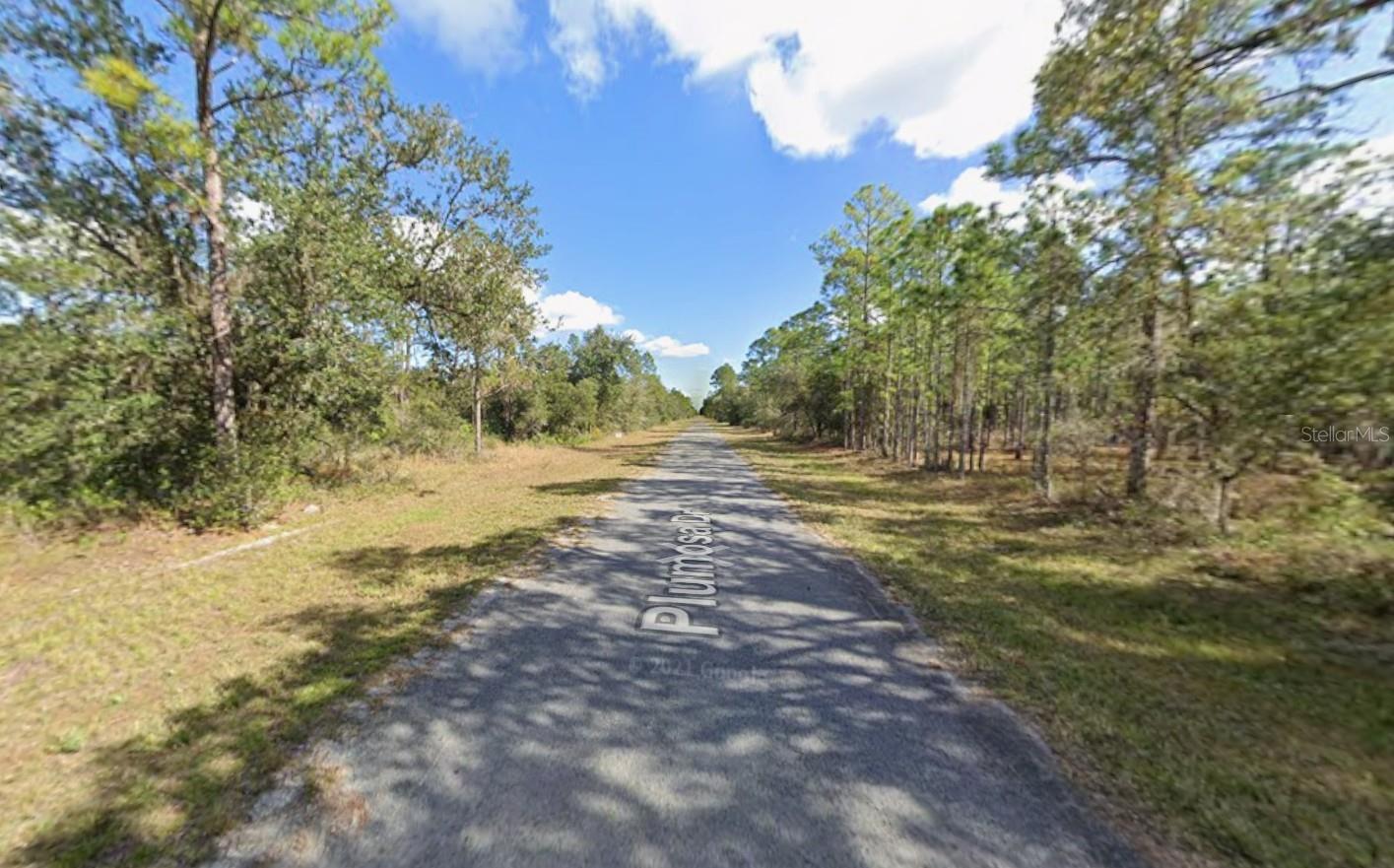 INDIAN LAKE ESTATES - Land