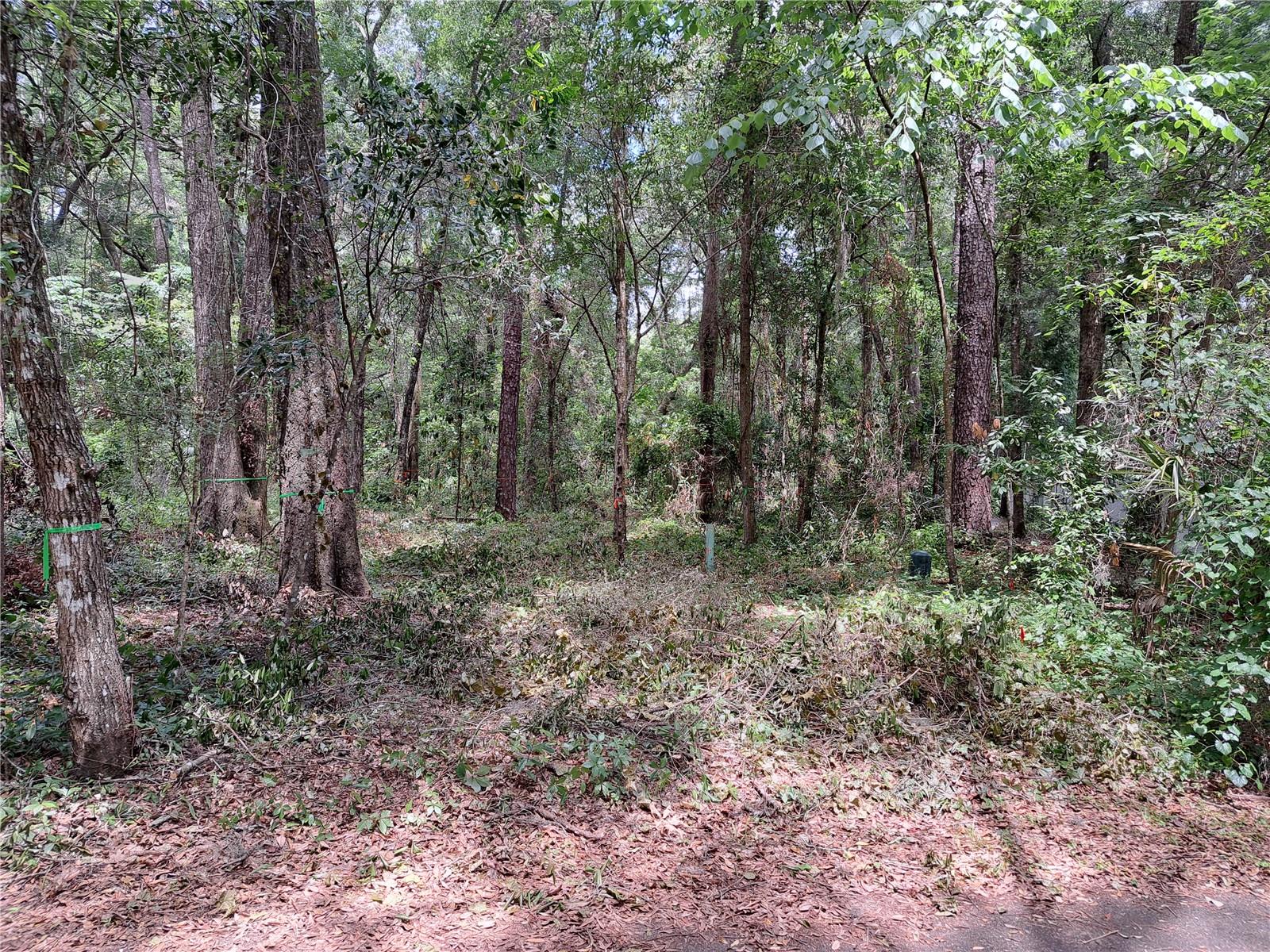 MADERA CLUSTER DEV PH 2 - Land