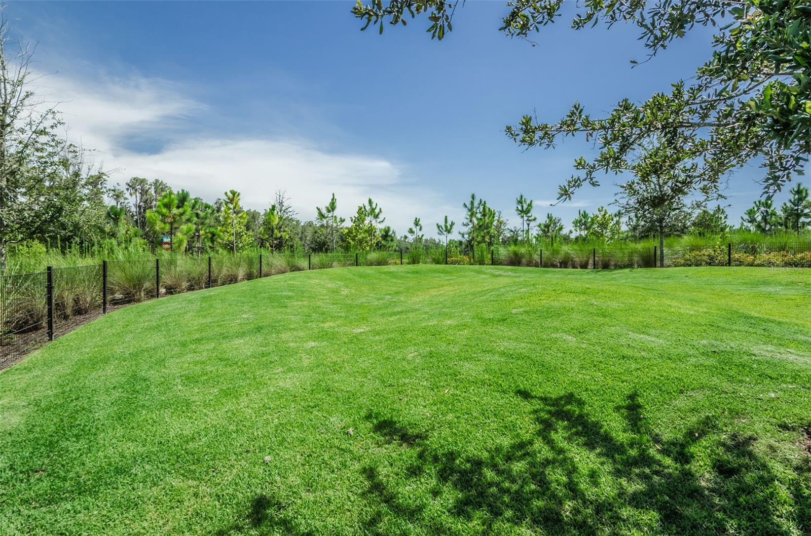 STARKEY RANCH VILLAGE 1 PH 2B - Residential