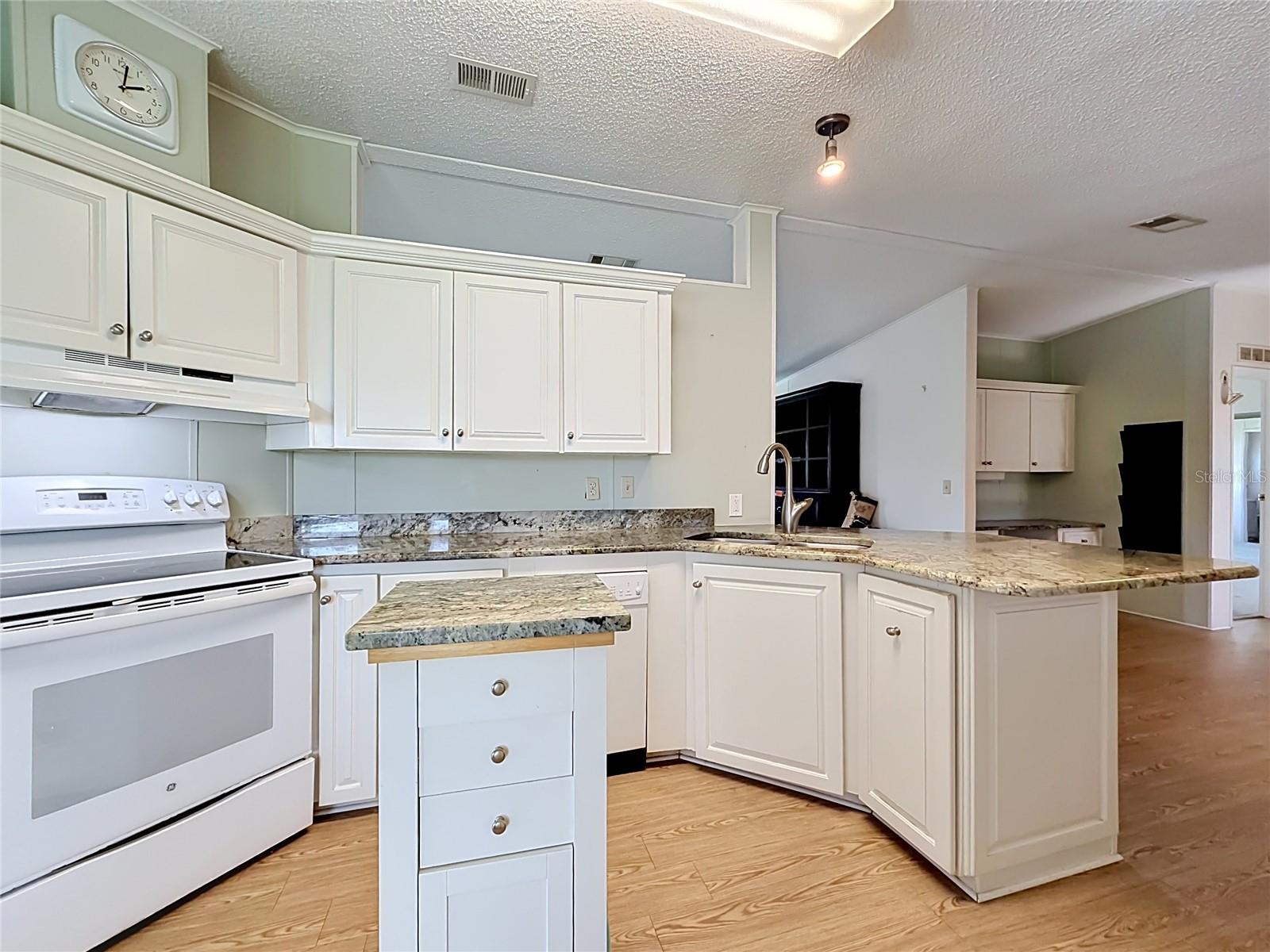 TAVARES LAKE FRANCES ESTATES - Residential