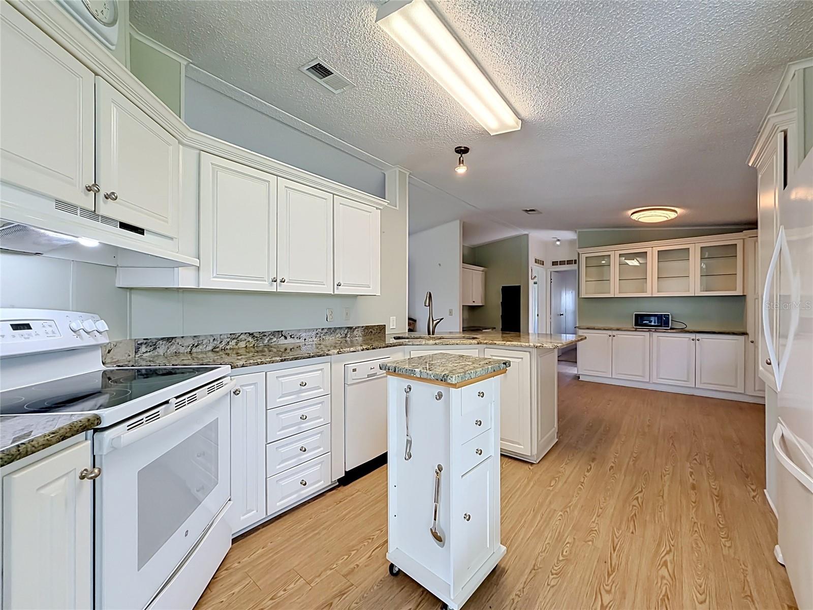 TAVARES LAKE FRANCES ESTATES - Residential