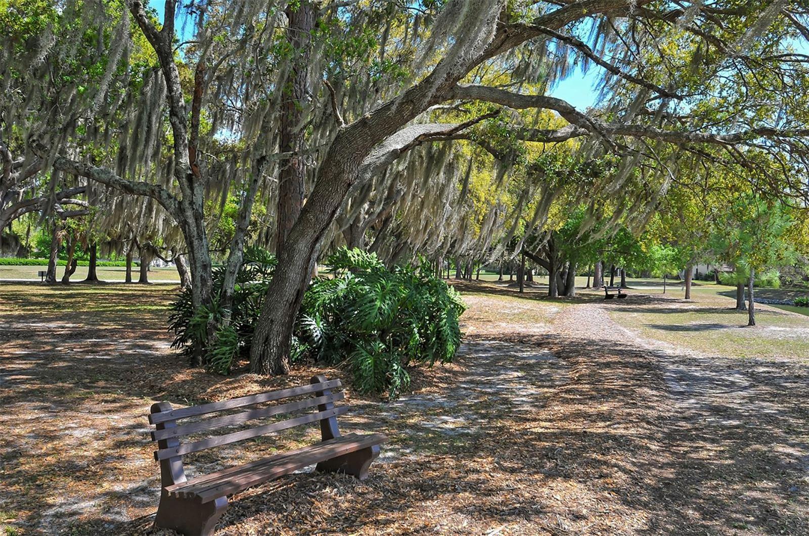 BENT TREE VILLAGE REP - Residential