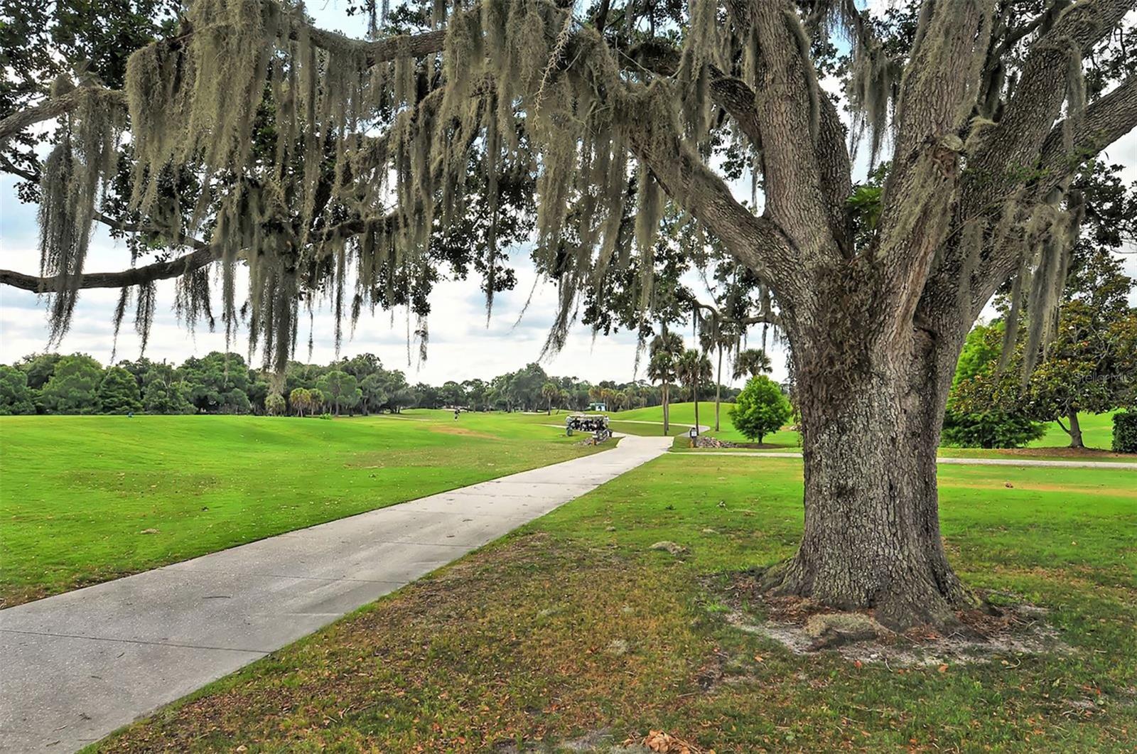 BENT TREE VILLAGE REP - Residential