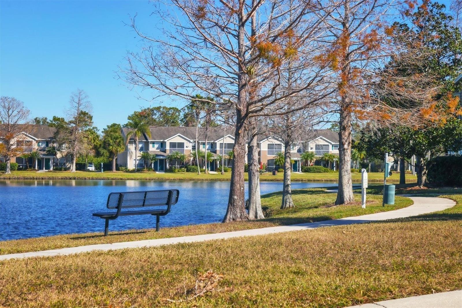 THE VILLAGE AT TOWNPARK - Residential