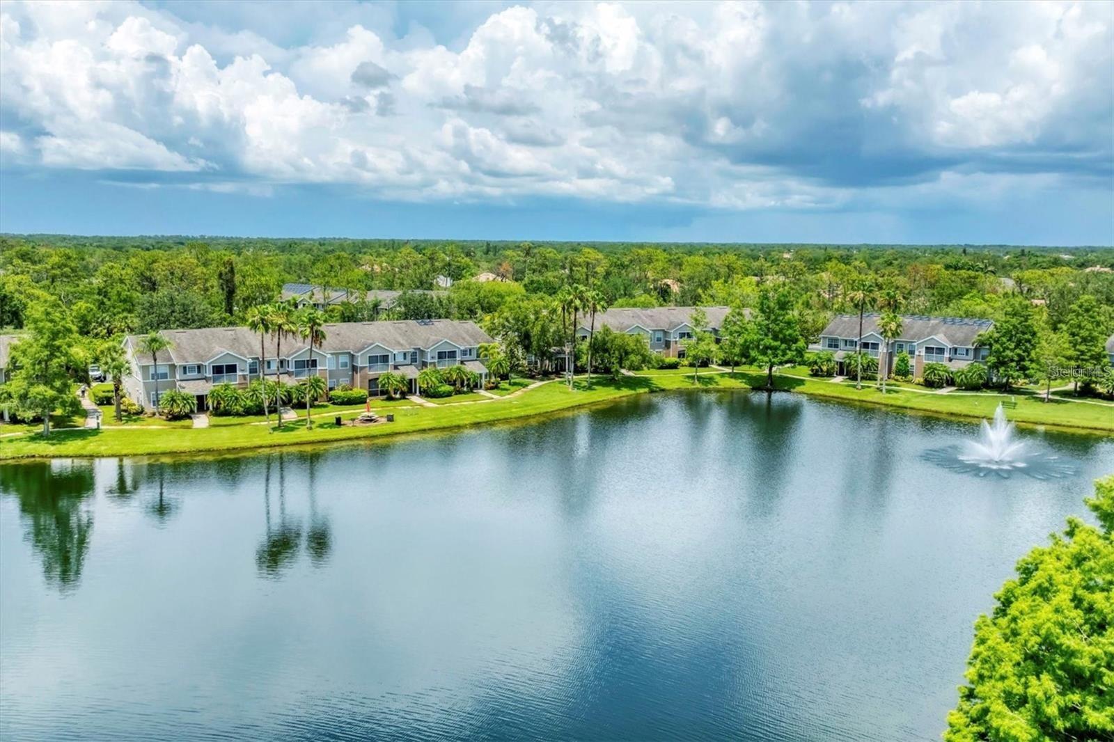 THE VILLAGE AT TOWNPARK - Residential
