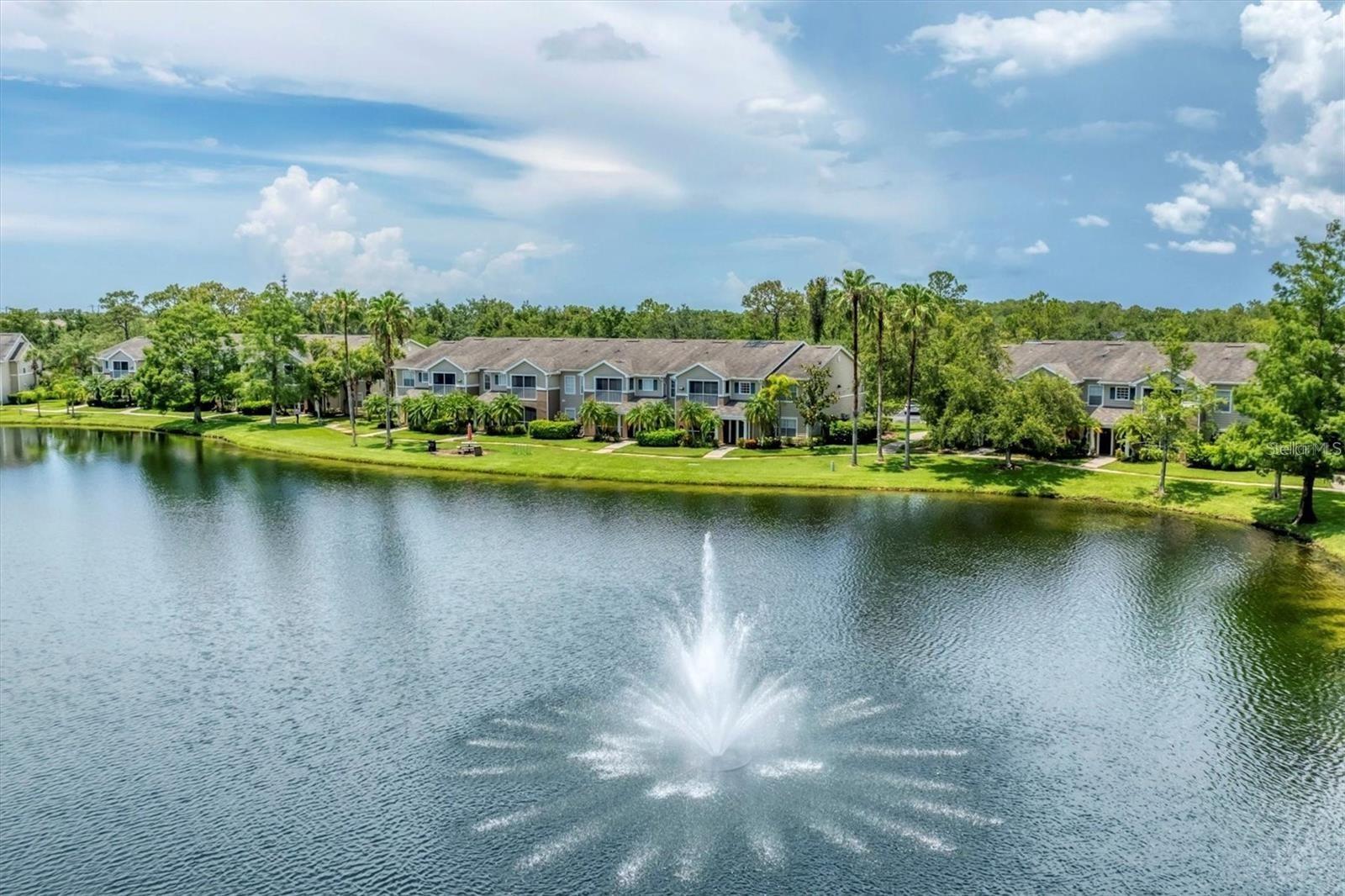 THE VILLAGE AT TOWNPARK - Residential