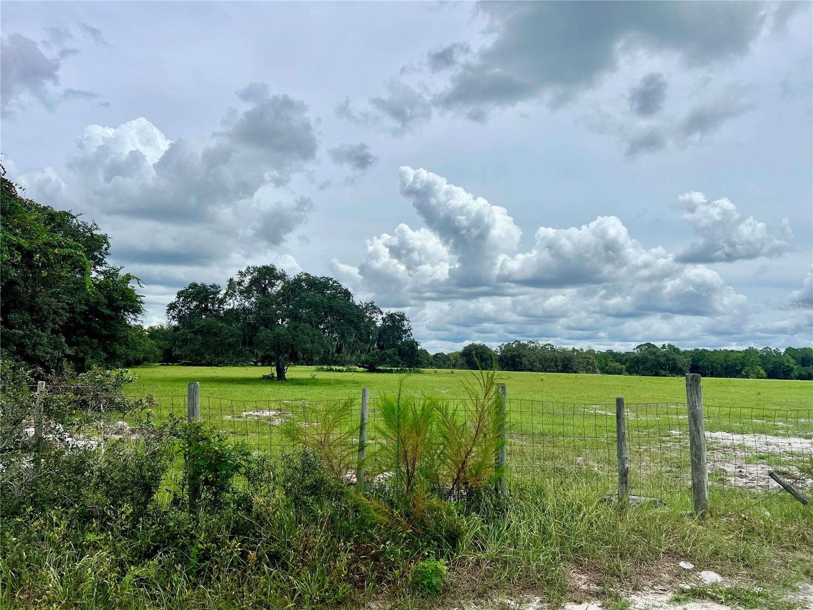 LAKE WALES ESTATES - Land