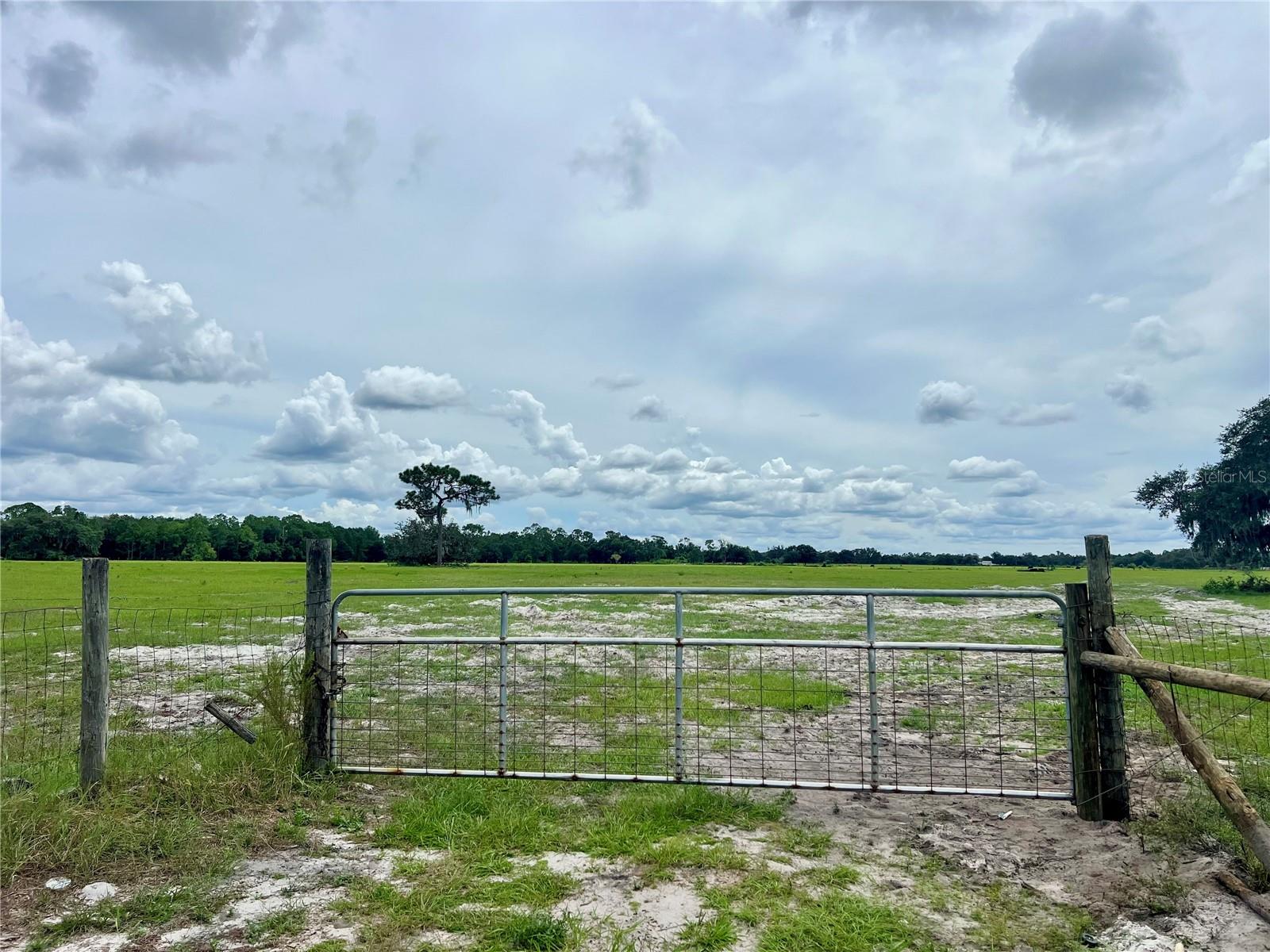 LAKE WALES ESTATES - Land