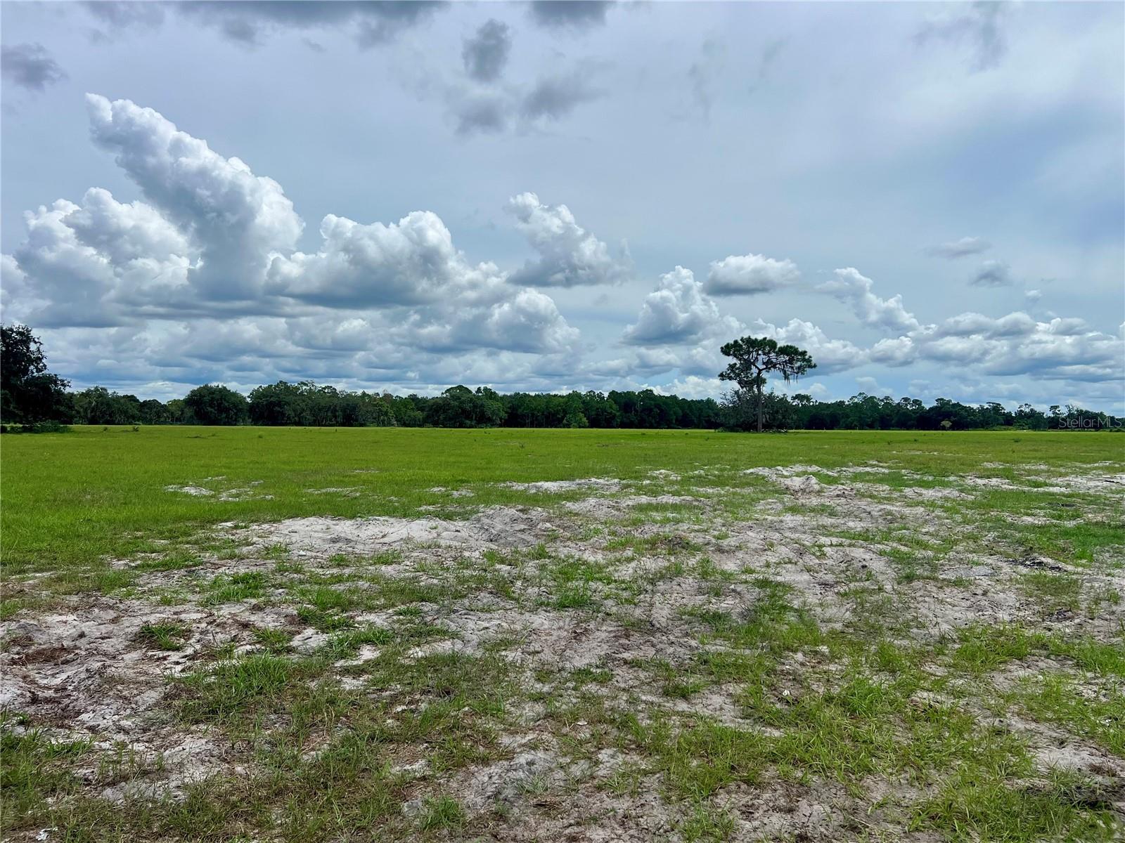 LAKE WALES ESTATES - Land