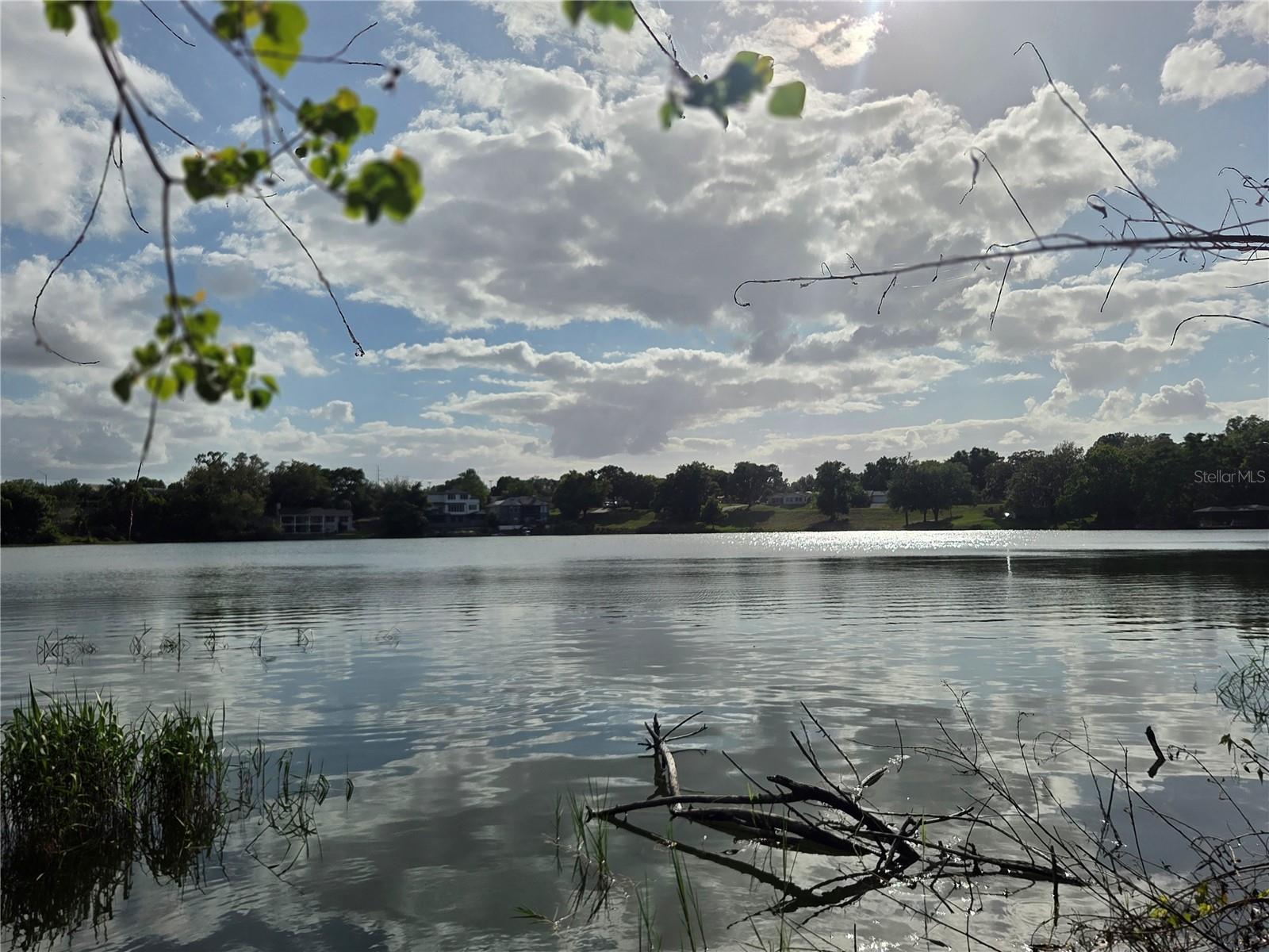 EUSTIS BELMONT HEIGHTS - Land