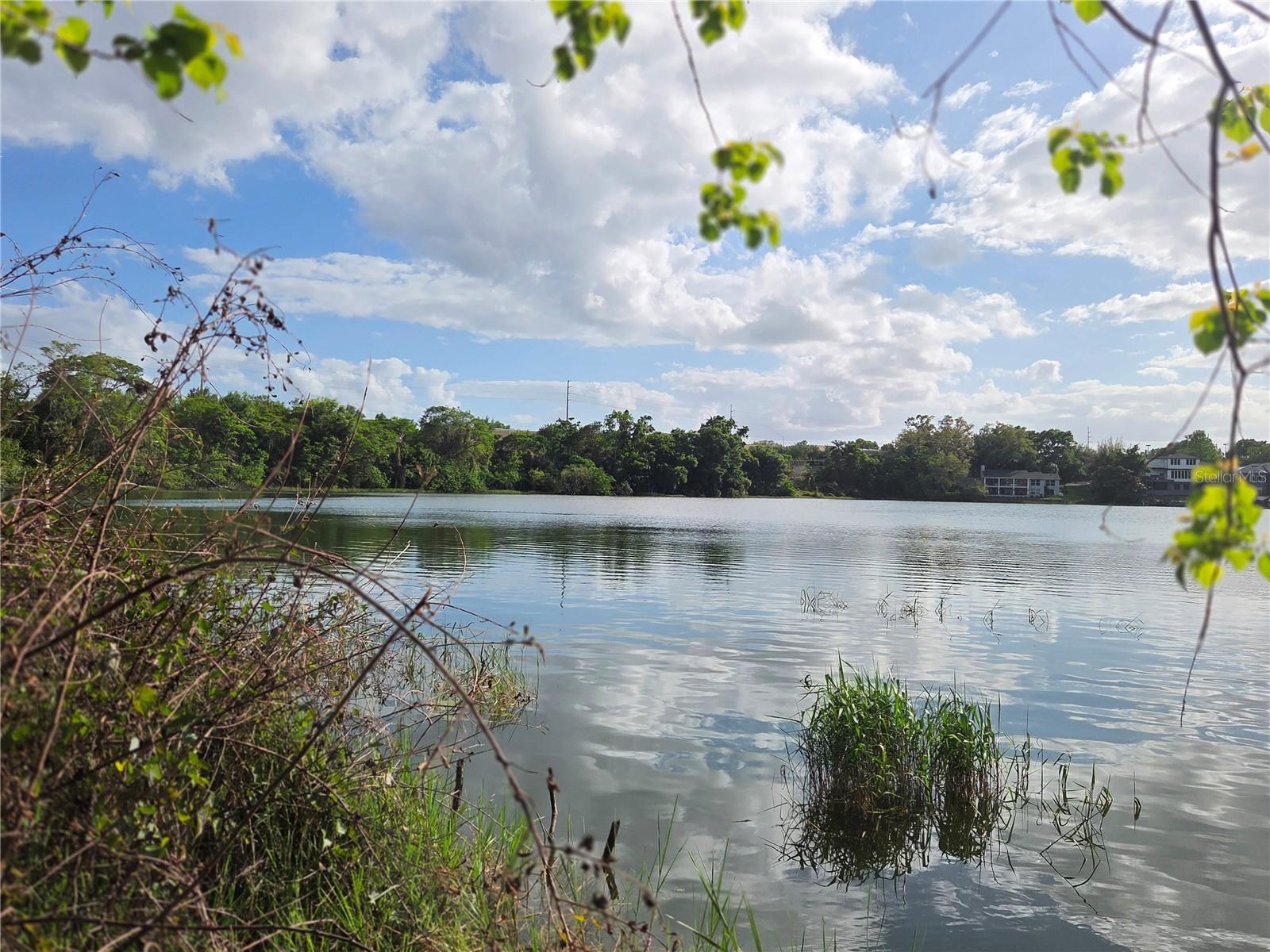 EUSTIS BELMONT HEIGHTS - Land