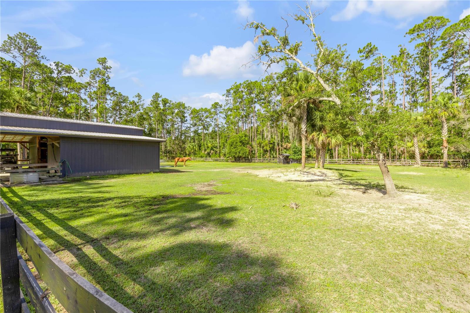 TOMOKA FARMS - Residential