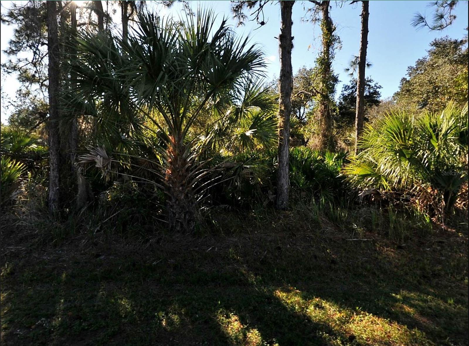 Standard building lot in North Port. Great location to Invest or build your dream home.  Short distance to shopping in North Port or Port Charlotte. Short distance to I-75, Exit 179, allowing for an easy commute to Sarasota or Fort Myers. Area of newer homes.