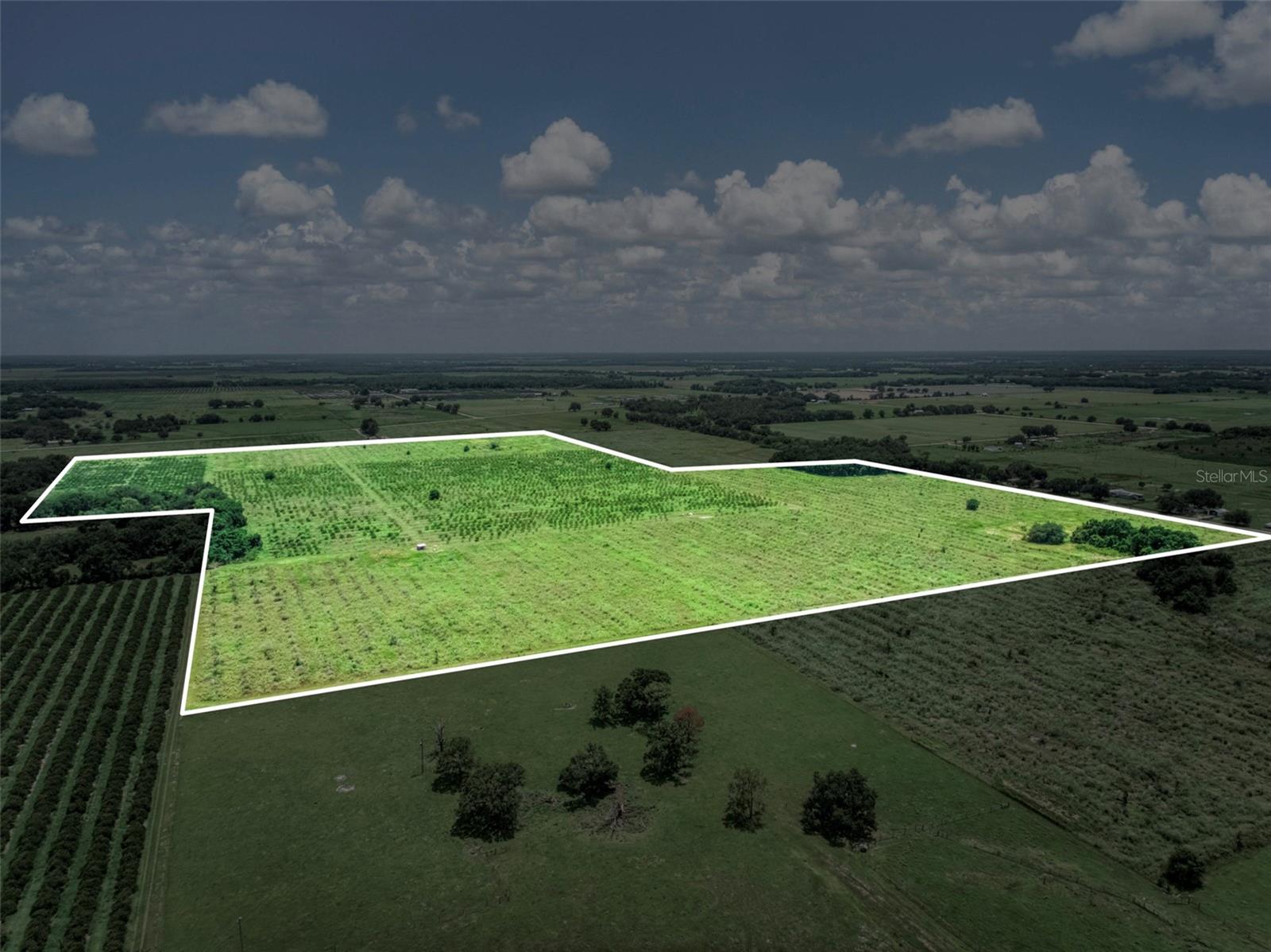 120 +/- acres of A-1 Agriculture land located between Hardee and Highlands County, offering endless possibilities for farming, ranching, or building your dream home. This high and dry property is on a county maintained road and features a well for irrigation, with irrigation already ran throughout the property, making it ready for a variety of agricultural uses such as cattle, sod, bamboo, crops, or other farming operations. A utility line has already been ran onto the property, adding convenience for future development. The property consists of two parcels being sold together and is accessed from Stephens Rd. Located just minutes from downtown Wauchula, this property offers the peaceful country setting you’re looking for while still being close to town. Whether you’re looking to expand your agricultural operation, invest in land, or create your private country estate, this 120 +/- acre property is a great opportunity in Central Florida.