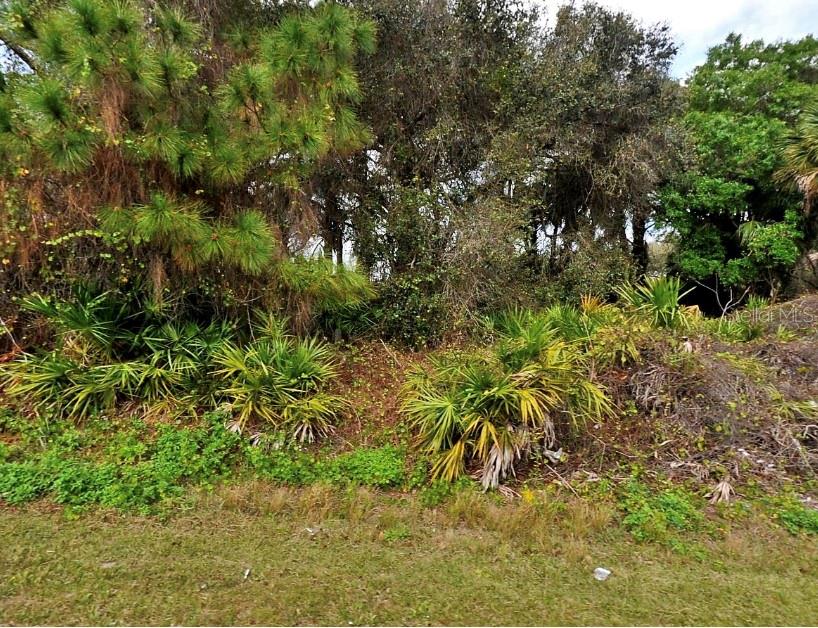 Build your dream home on this beautiful lot in the growing city of North Port! Conveniently located for commuters traveling to Sarasota or Fort Myers, this area has experienced tremendous growth while still offering a relaxed Florida lifestyle. Residents enjoy a variety of amenities including a newer water park, the Atlanta Braves Spring Training stadium, shopping, dining, and numerous public parks. Plus, pristine Gulf Coast beaches are less than 30 minutes away. Whether you are looking to build now or invest for the future, this property offers a fantastic opportunity in a thriving community. Drive by today and imagine the possibilities!