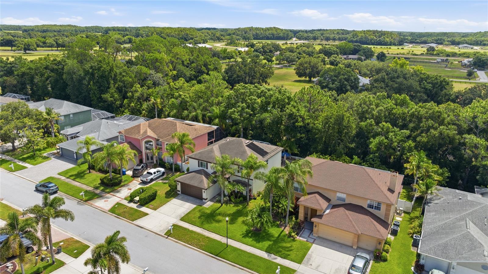 WINDSOR PARK AT THE EAGLES - Residential