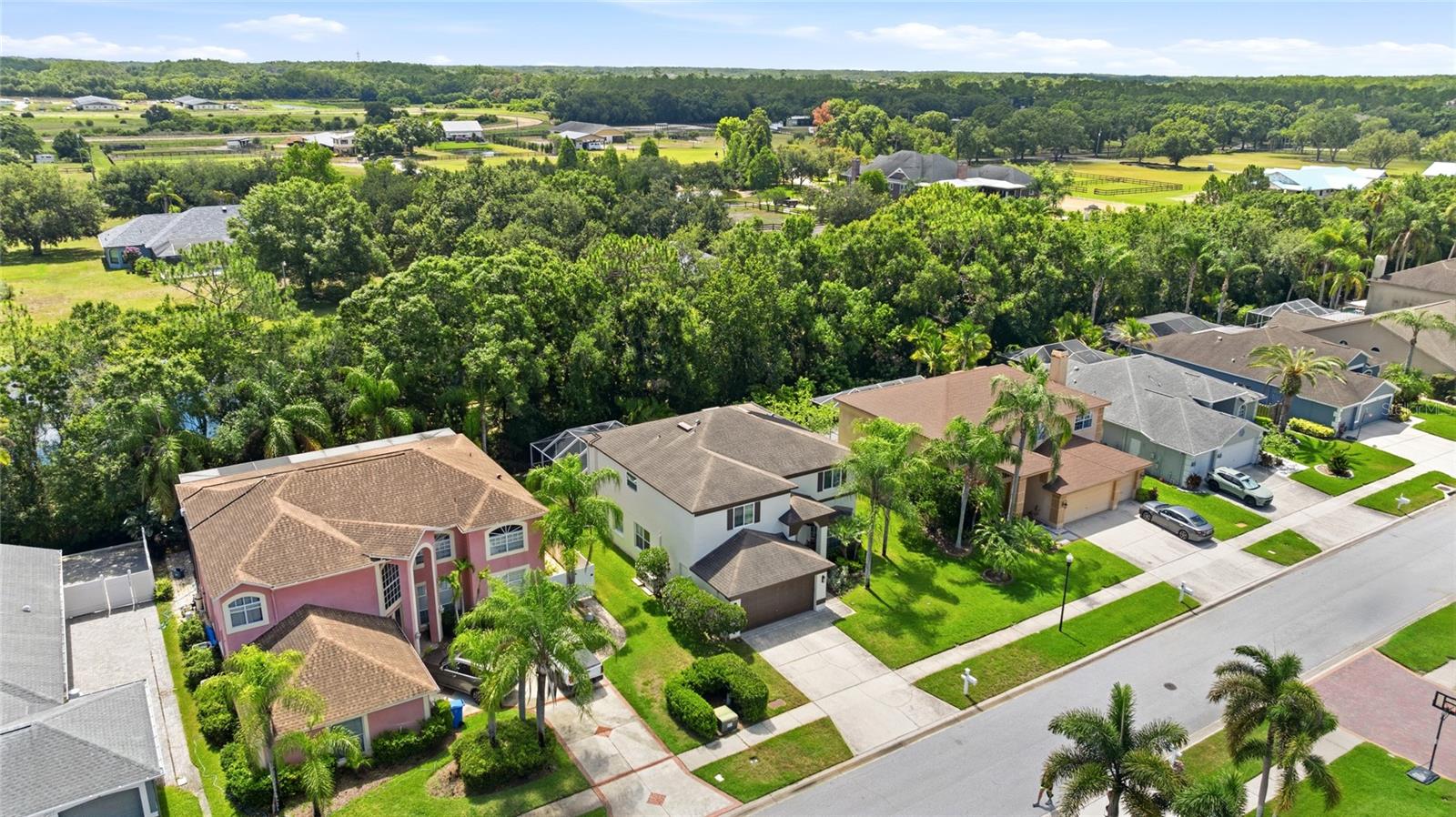 WINDSOR PARK AT THE EAGLES - Residential