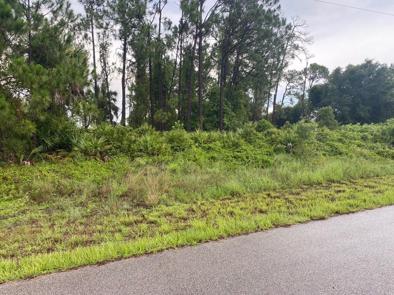 Build your dream home in the fast growing town of North Port. This lovely 10,000 sq. ft. Lot  has plenty of room for a beautiful pool. No HOA fees or rules, so you can keep a boat right on your property! Nearby are great fishing piers and easy boat ramps into major rivers leading into Charlotte Harbor and the Gulf of Mexico! Gorgeous local beaches are only a 35 minute drive away! Golf courses, restaurants, shopping and tiki bars  are all close by! The average HIGH temps for the year are 73-92 which makes for fantastic outdoor living!!! When you spend a small price for the land, you can invest more money into building you home. Leave your snowshovels with your neighbors up north because you're moving to Paradise!!