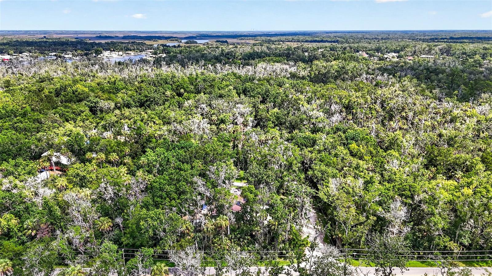 HOMOSASSA COMPANYS SUB - Residential