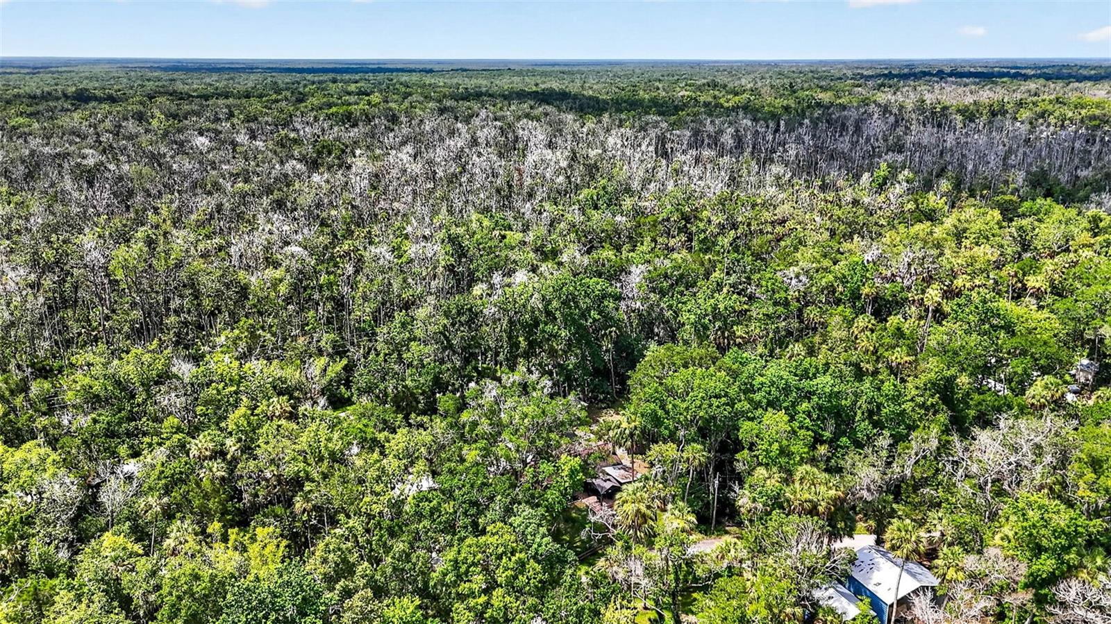 HOMOSASSA COMPANYS SUB - Residential