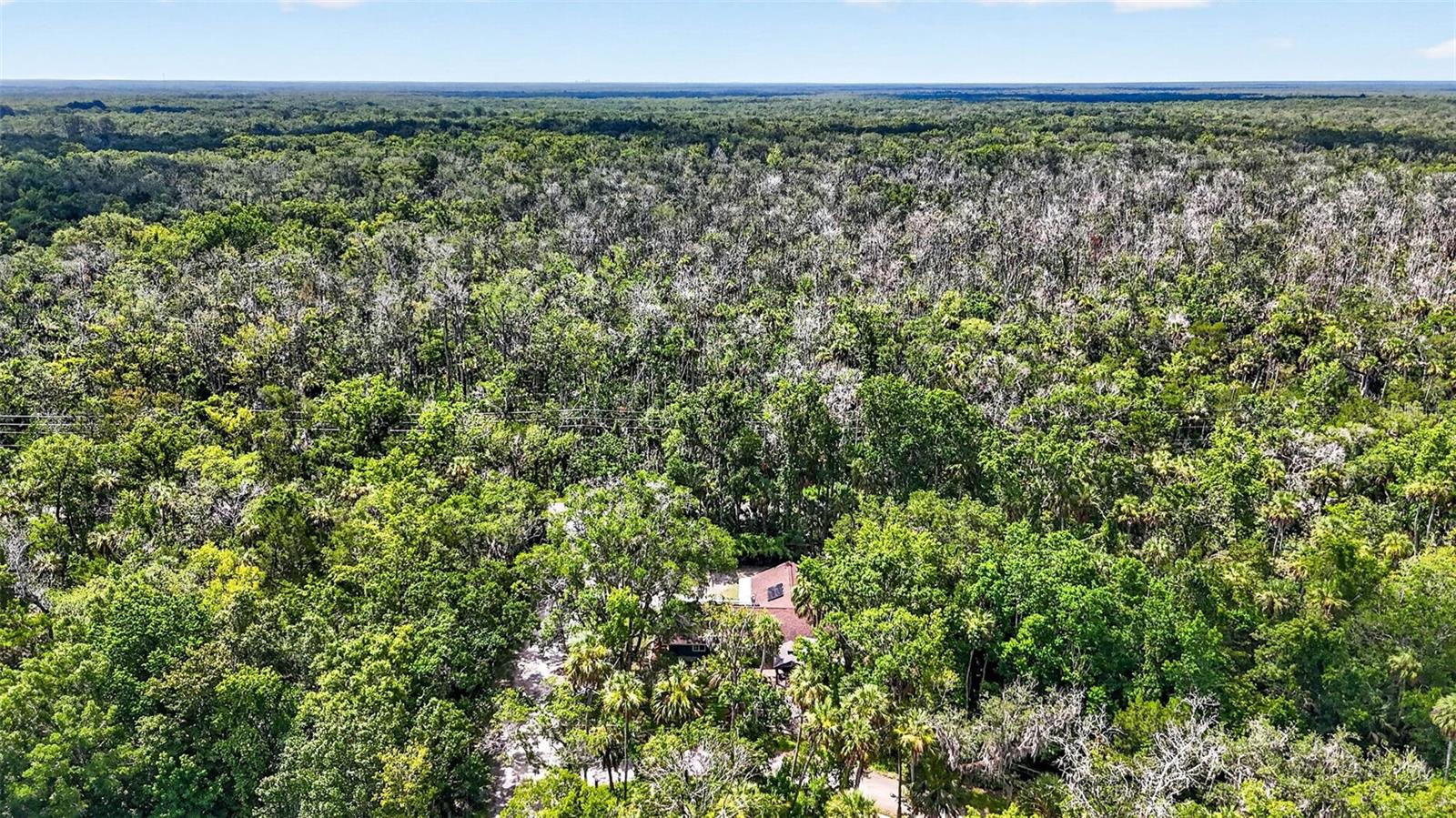HOMOSASSA COMPANYS SUB - Residential