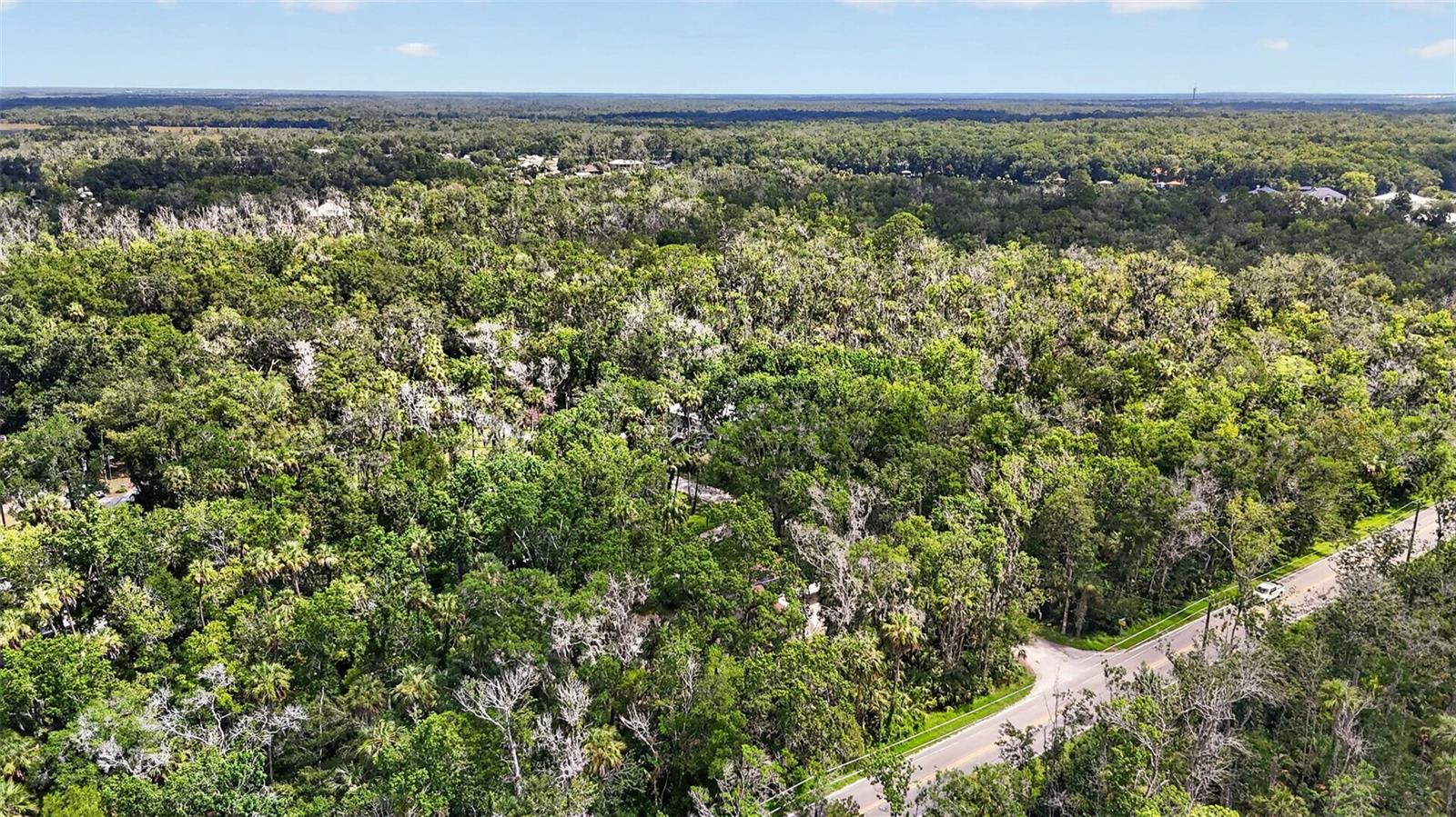 HOMOSASSA COMPANYS SUB - Residential