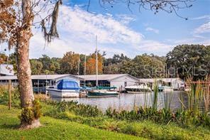 MOUNT DORA LAKES MOUNT DORA PH 01 - Residential