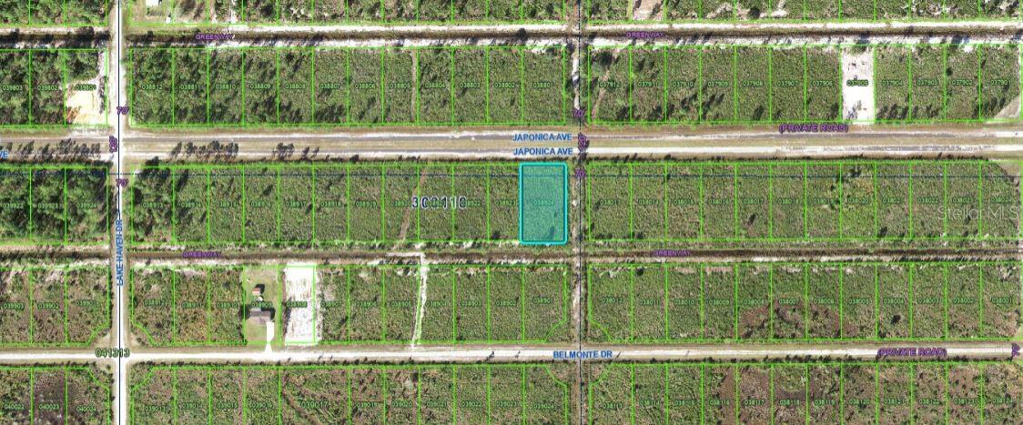Take advantage of this opportunity to own 0.60 acres of vacant  land at 501 Japonica Avenue FL 33855.   "Zoning: PUD" Enjoy outdoor living, or plan future expansion. Located in a quiet and scenic community, the property offers privacy while remaining conveniently accessible to local amenities, schools, and major roadways. Ideal for builders, or investors, seeking a versatile parcel .Note: buyers I emphasize the importance of conducting thorough due diligence to ensure that the property meets your expectations and requirements.