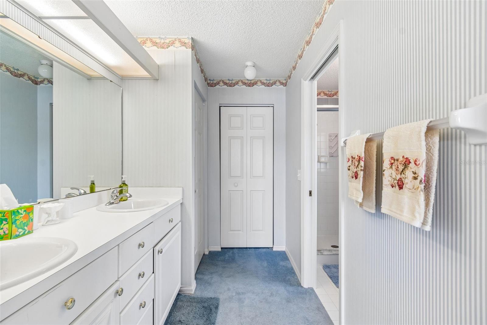 SILVER LAKES REP - Residential