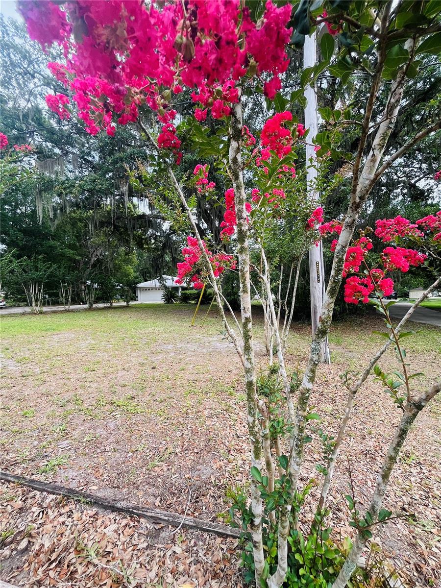 BIRD ACRES - Residential