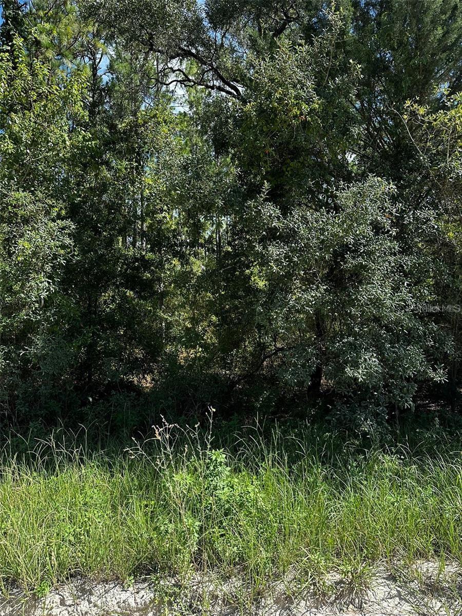 SELLER FINANCING!!  50% down!  1.25 Acre parcel zoned Ag/RR. Build your dream home or just have a piece of land to decide what to do with later. At this price you can't go wrong. Situated near many outdoor activities and raw land. The possibilities to dream big are right here for you to take advantage of. Drive by today to take a look, maybe you will be surprised by the vision that comes into view.