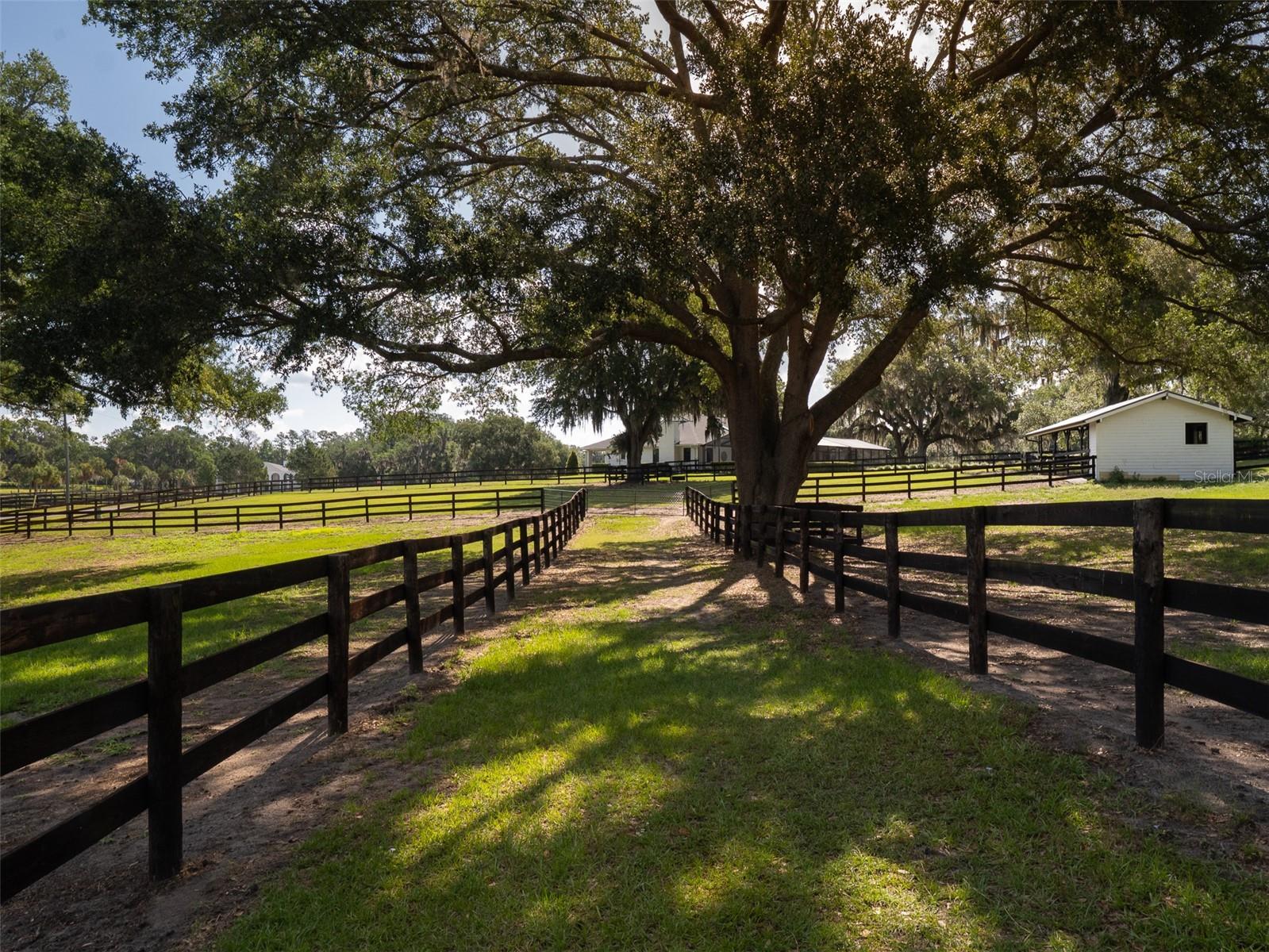 MOSSBROOK FARMS - Residential