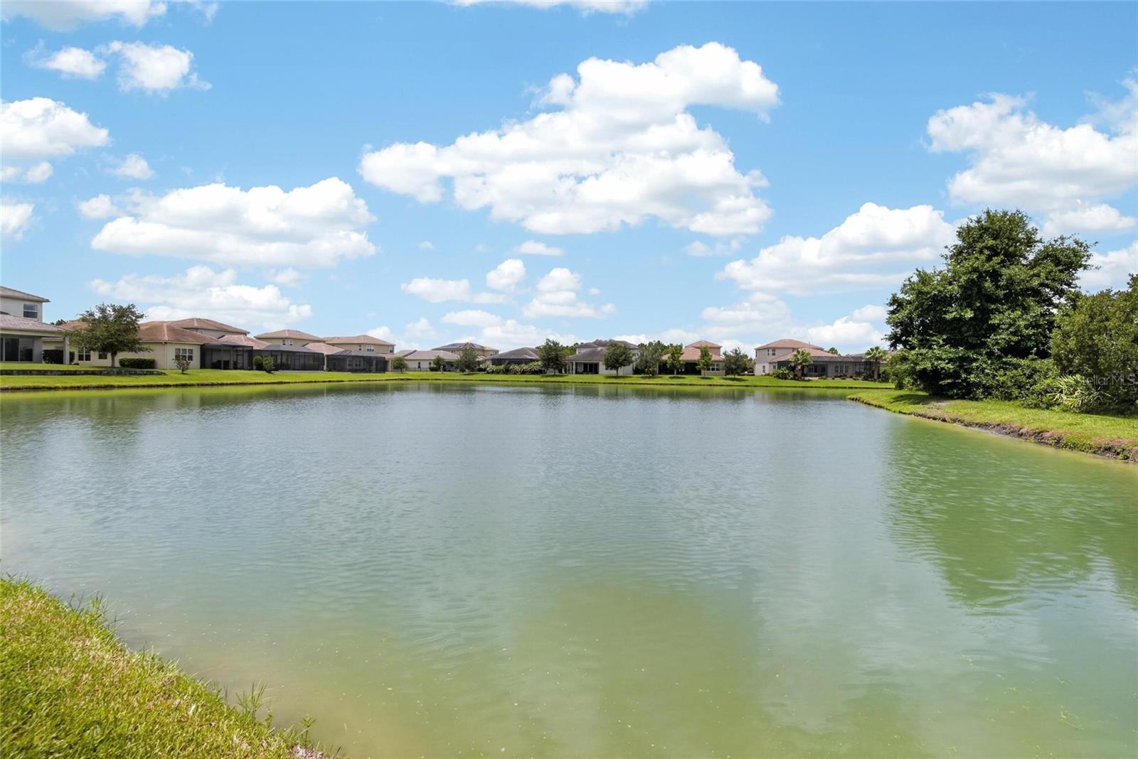 WIREGRASS M23 PH 3 - Residential