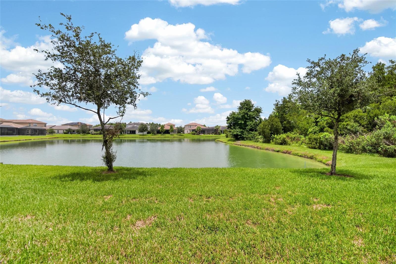 WIREGRASS M23 PH 3 - Residential