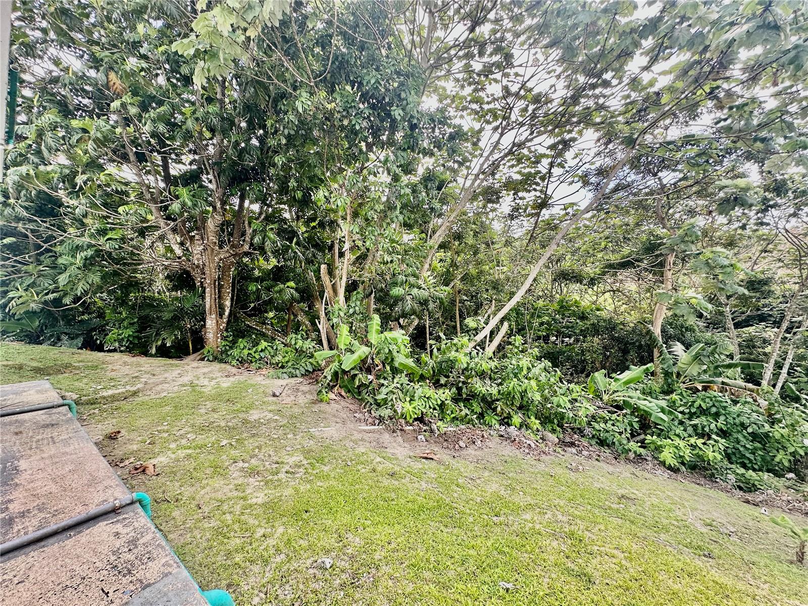 BARRIO TEJAS - Residential