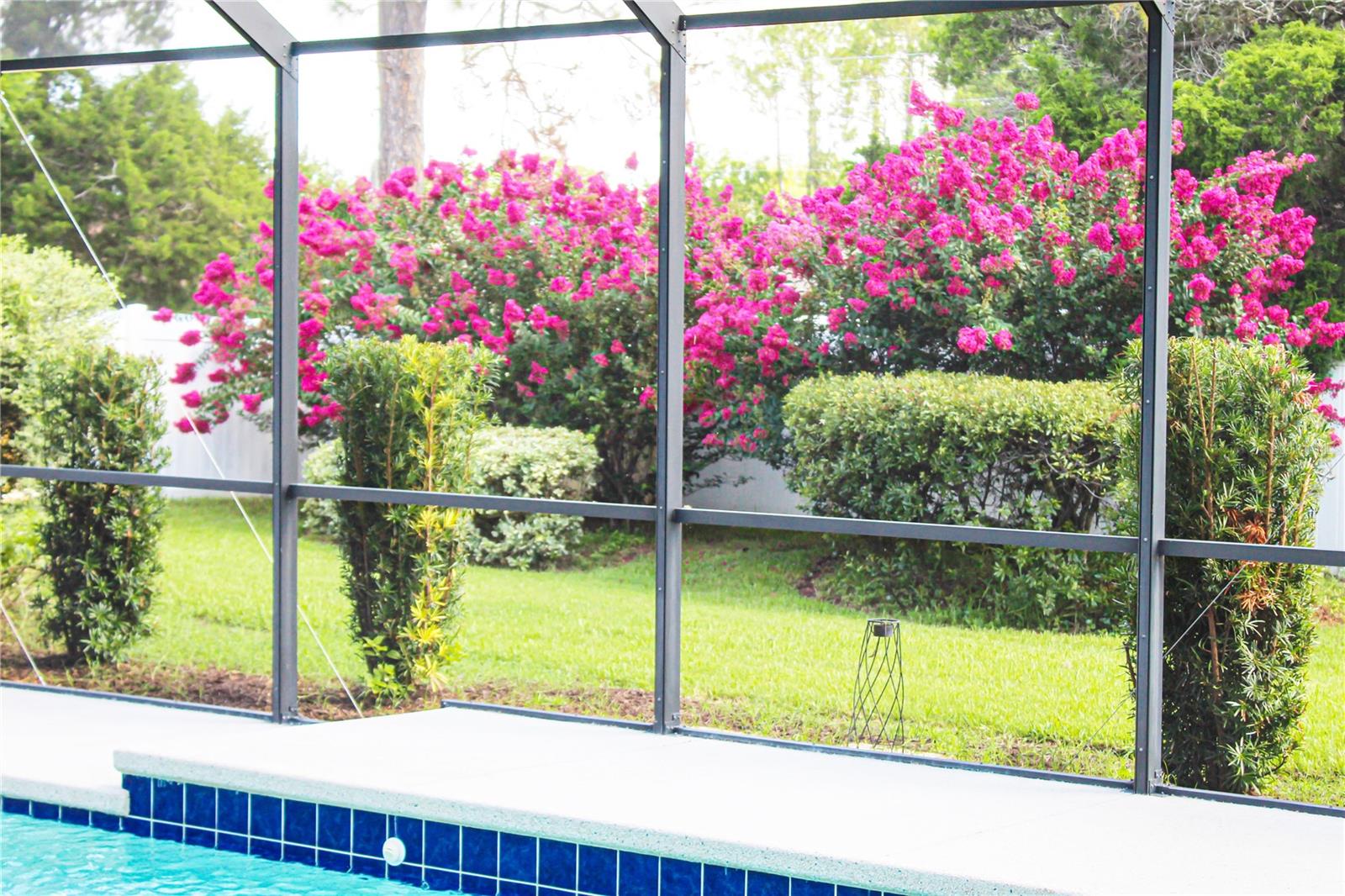 DEERWOOD REP BLK 20 PINE LAKES GOLF COURSE - Residential