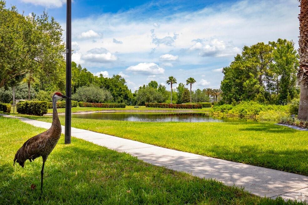 LIVE OAK PRESERVE PH 2A VILLAGES 09 10 11 & 14 - Residential