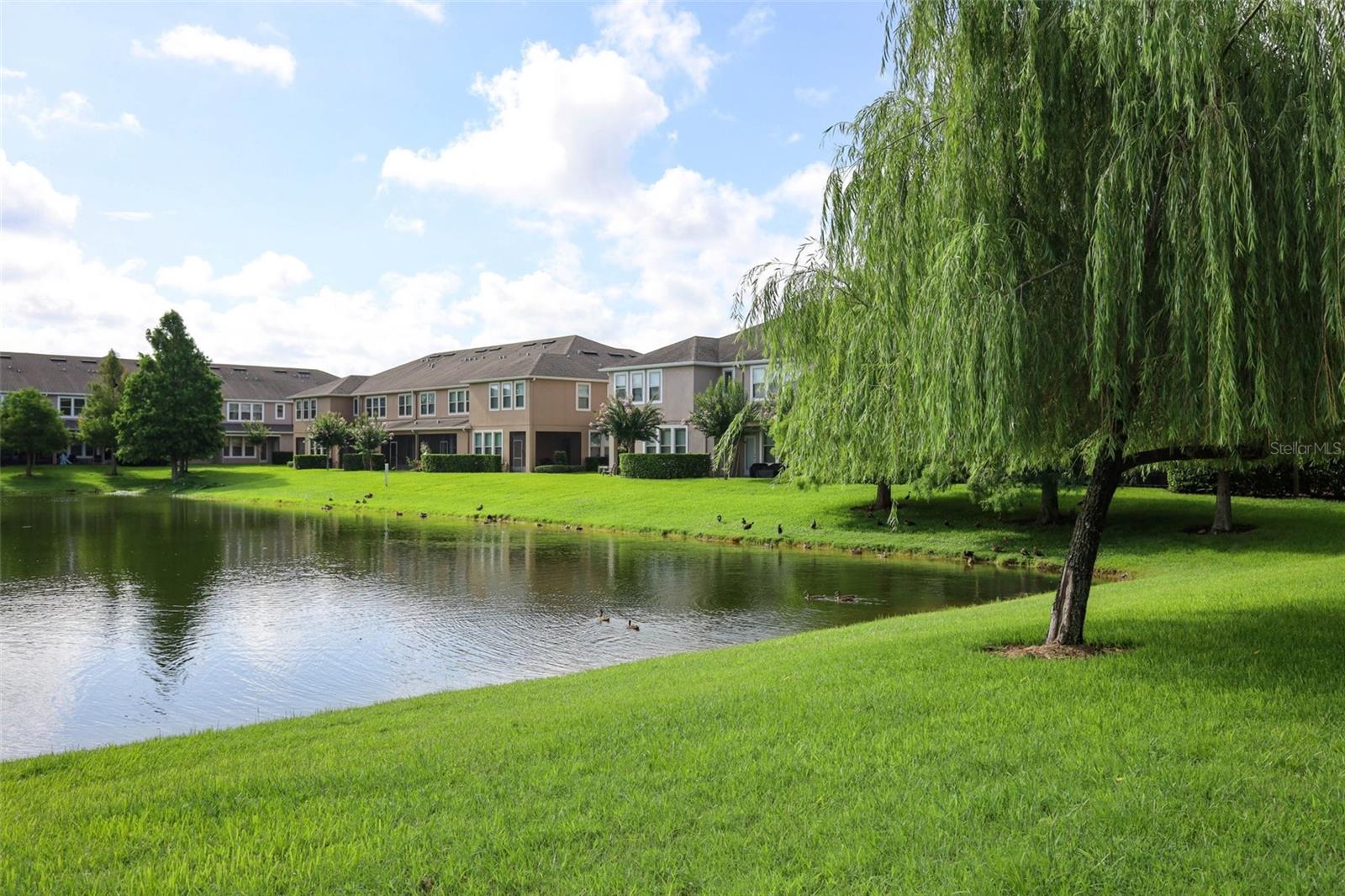 THORNBROOKE PH 1 - Residential Lease