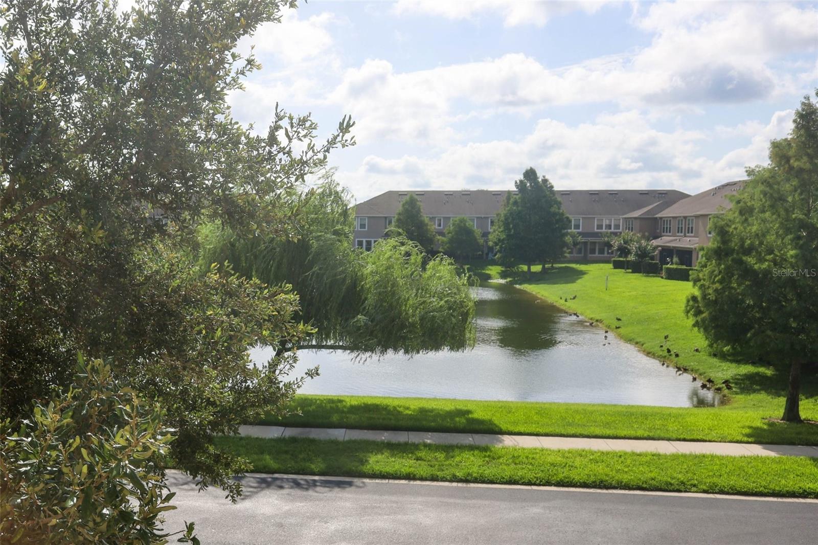 THORNBROOKE PH 1 - Residential Lease