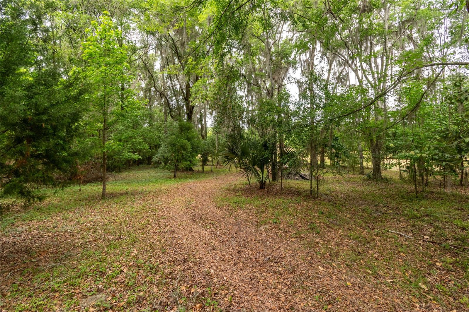 EQUESTRIAN SPRINGS - Residential