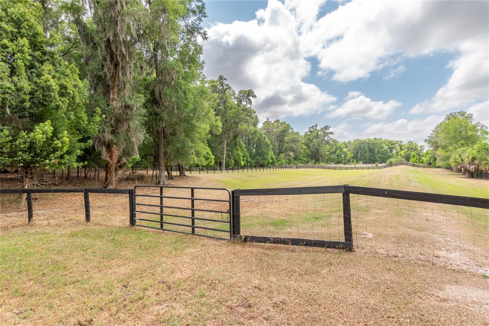 EQUESTRIAN SPRINGS - Residential