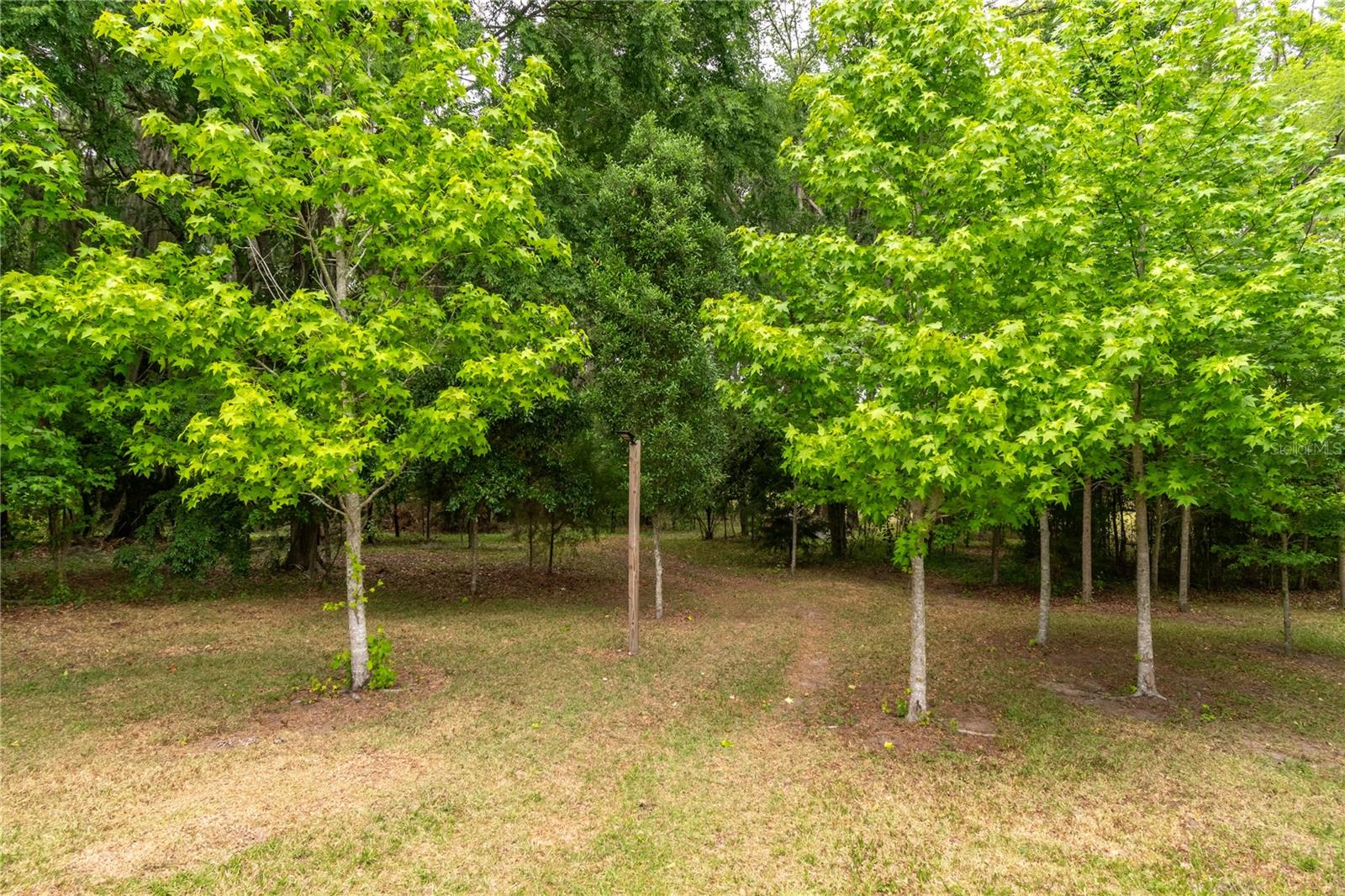 EQUESTRIAN SPRINGS - Residential