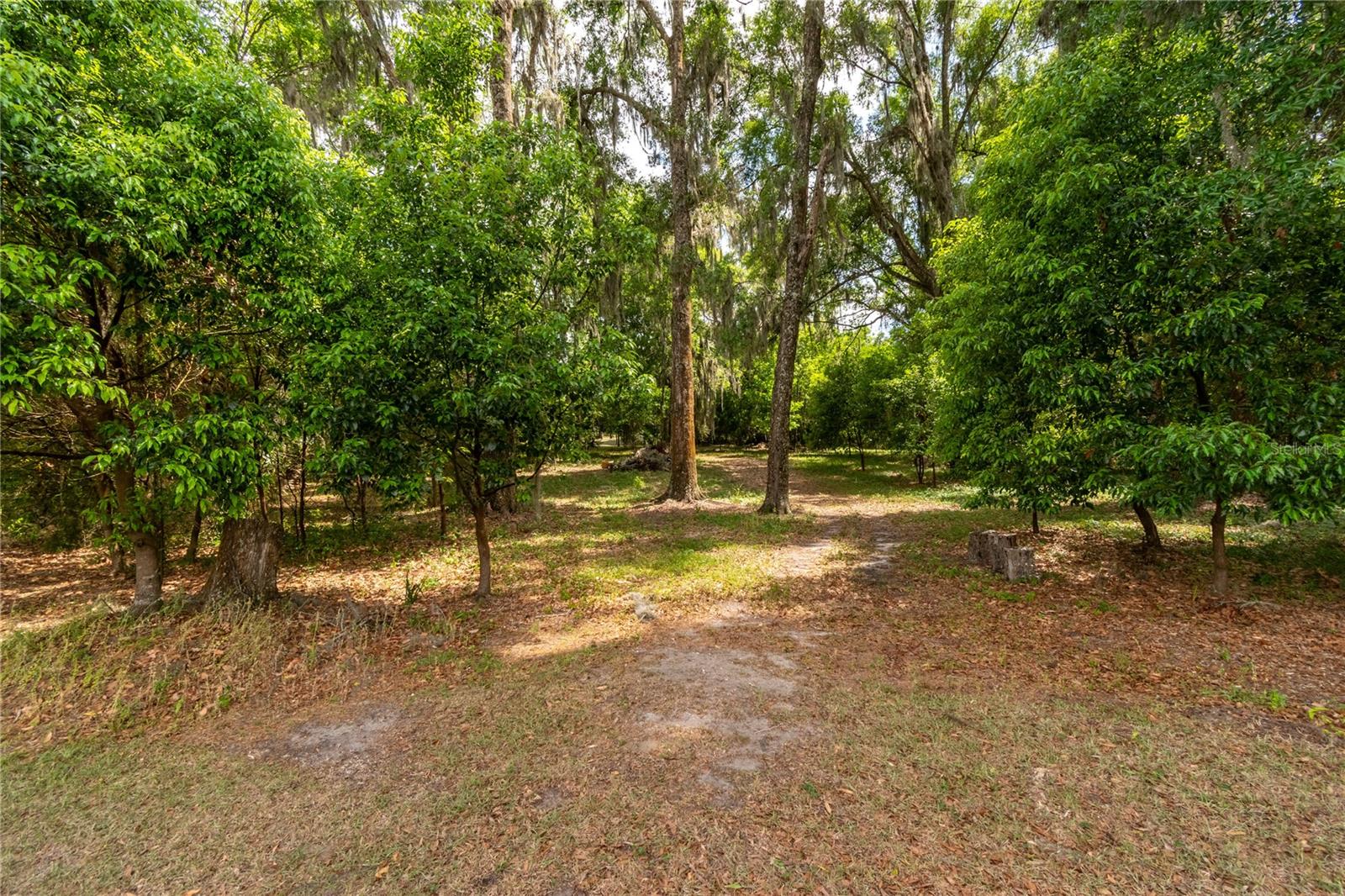 EQUESTRIAN SPRINGS - Residential